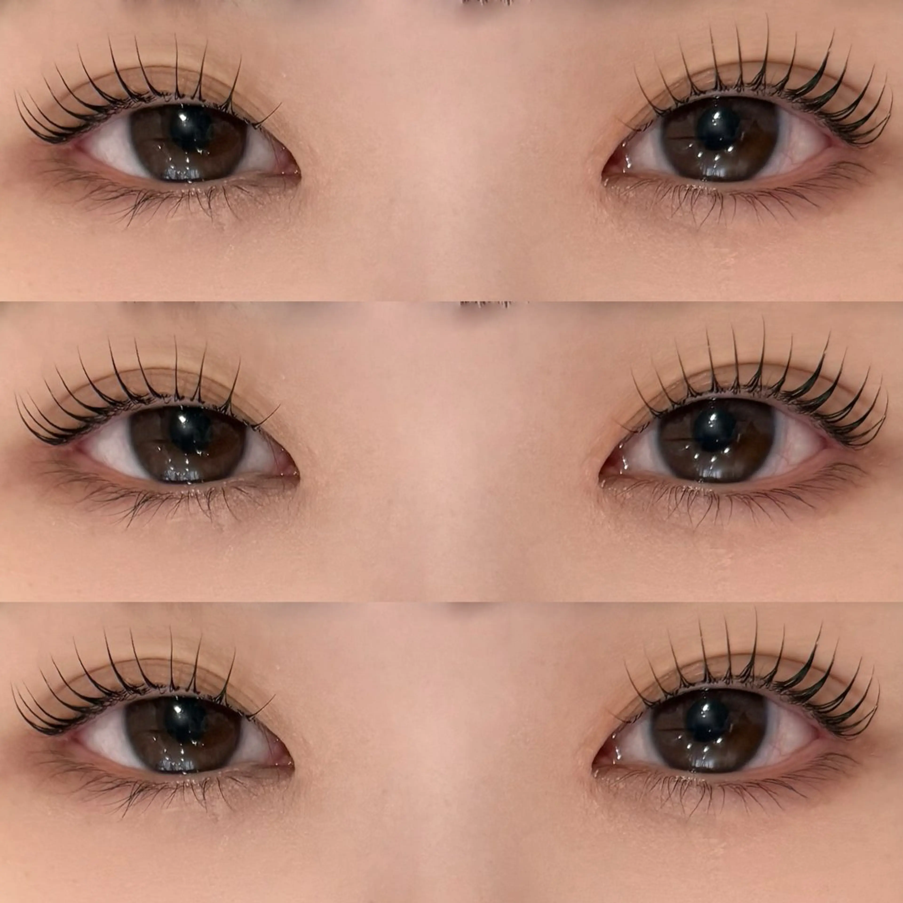 🐑パリジェンヌラッシュリフト¥6,600→¥4,480《高濃度トリートメント付✨》【ミニモ限定価格】の写真