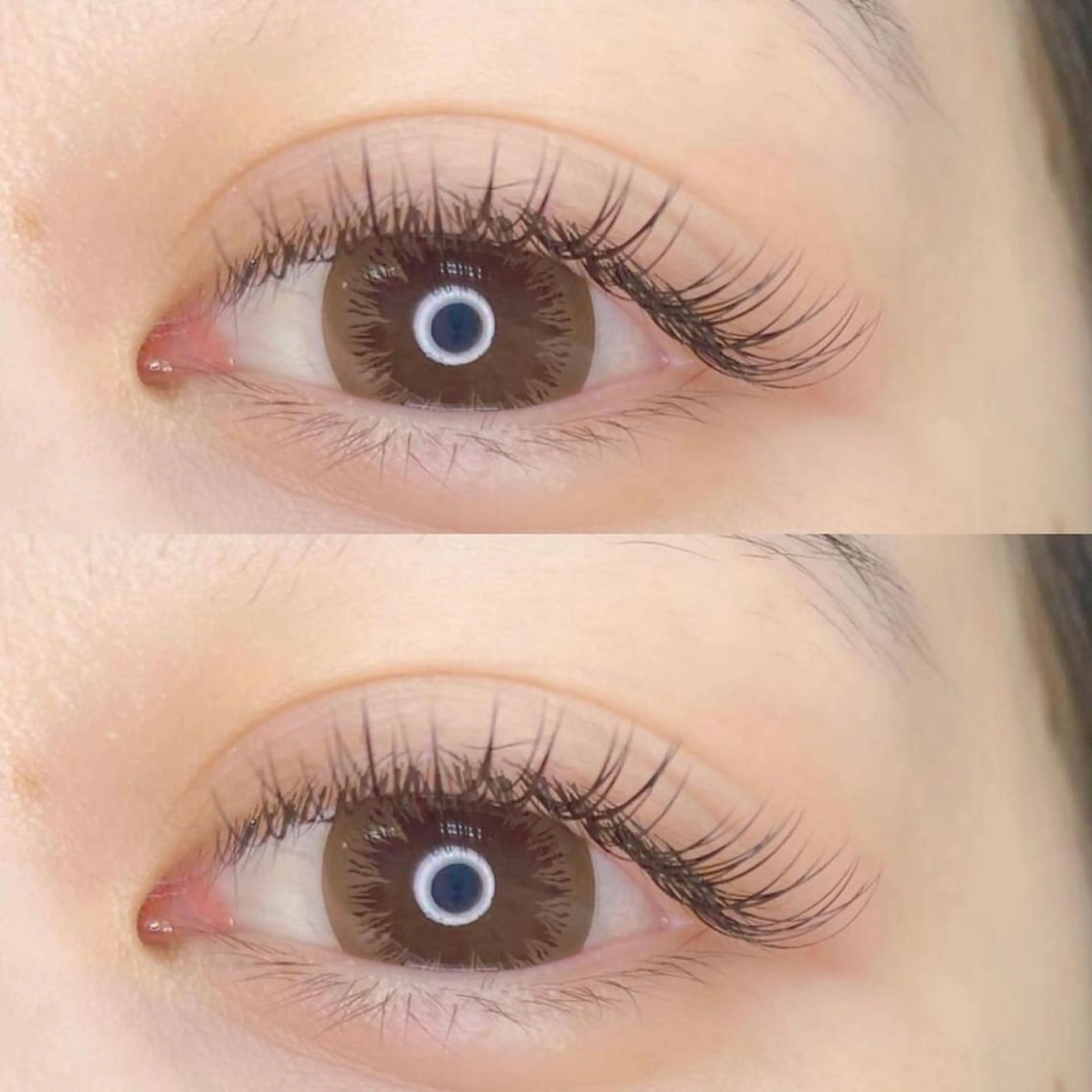 🧡ミニモ限定価格🧡オフ込みフラットマットラッシュ100本(コーティング付)の写真