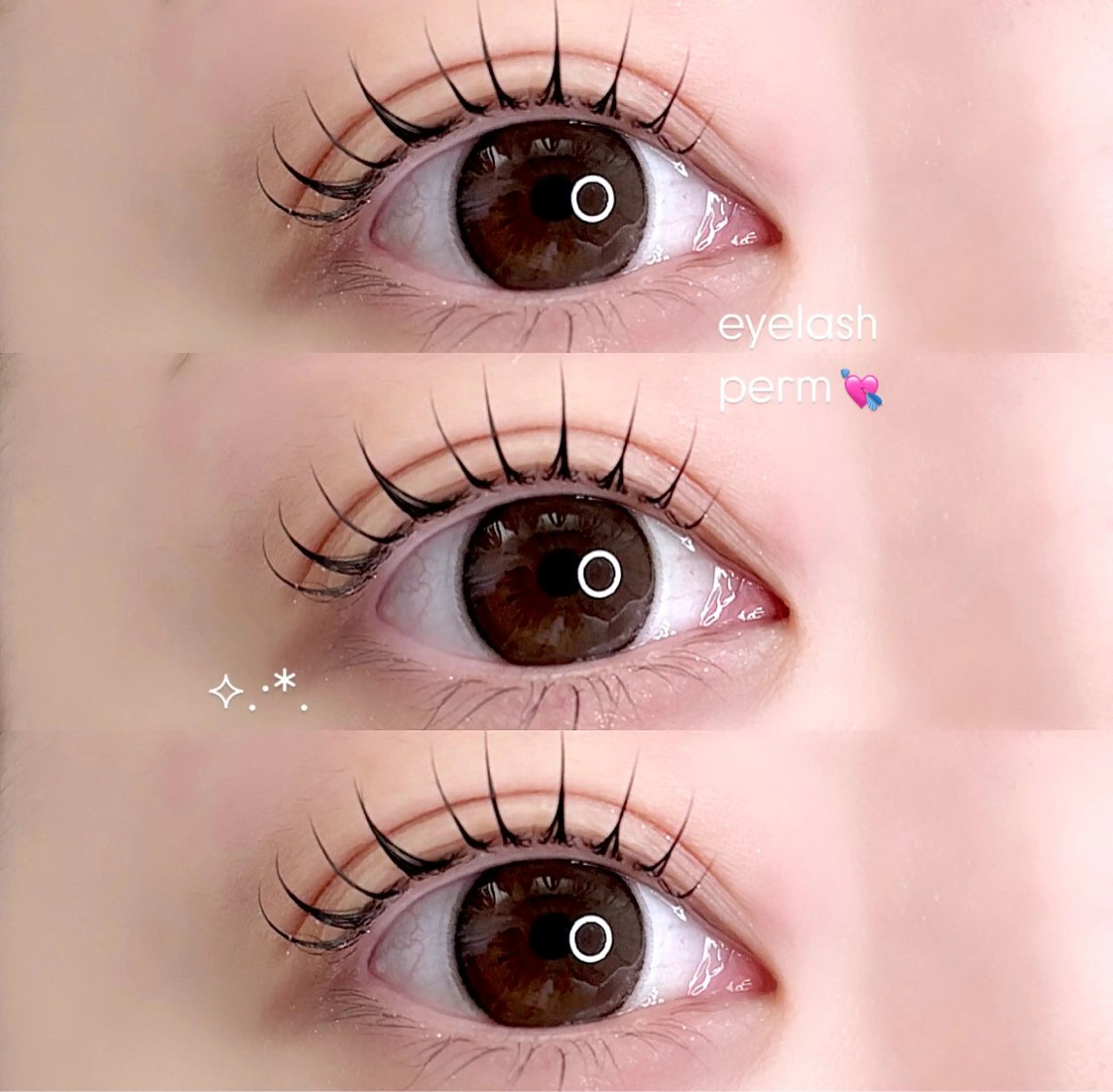 【✨️人気No.1✨️】まつげパーマ（モデル）の写真