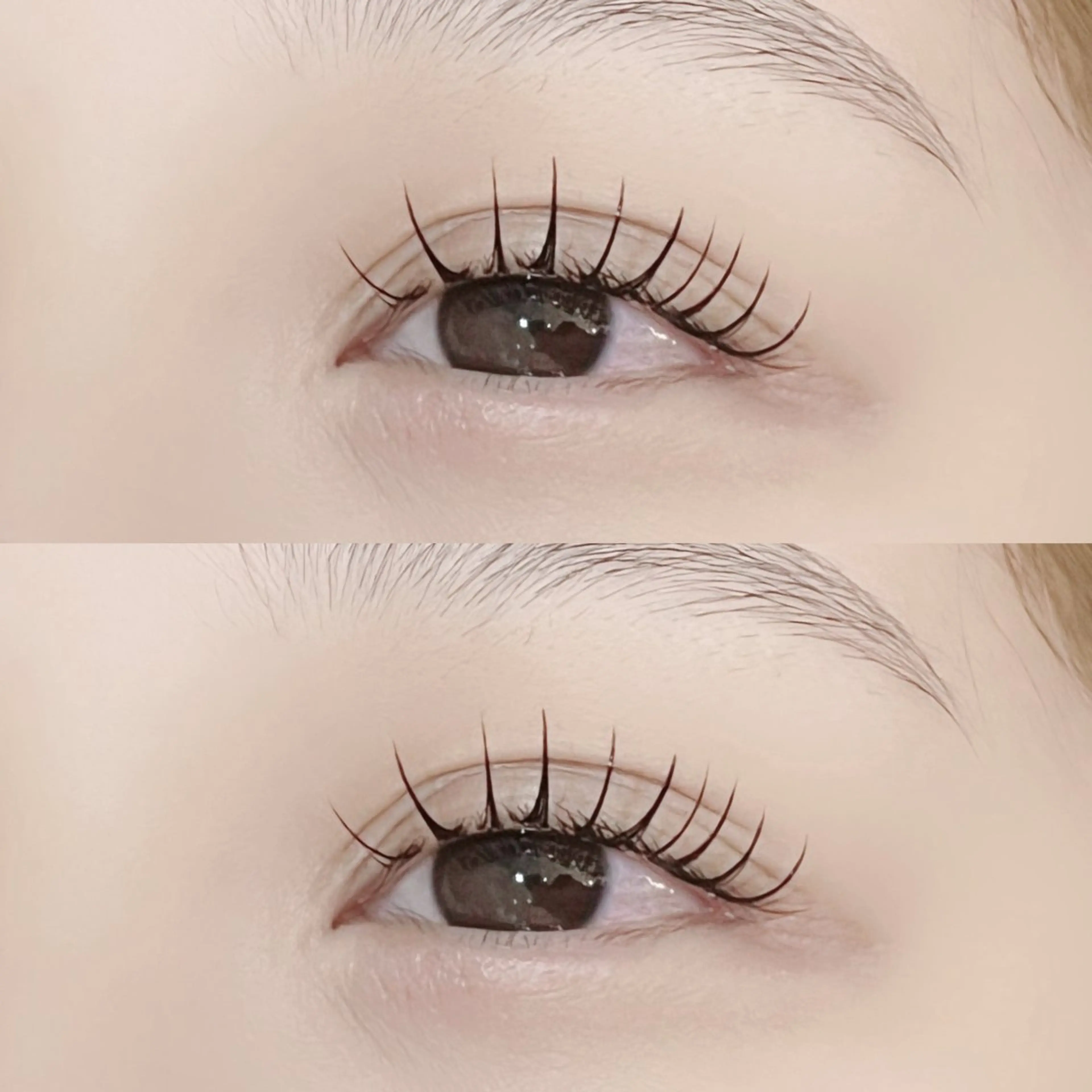 🎀LEDエクステ フラットマットラッシュ100本（オフあり無料）🎀の写真