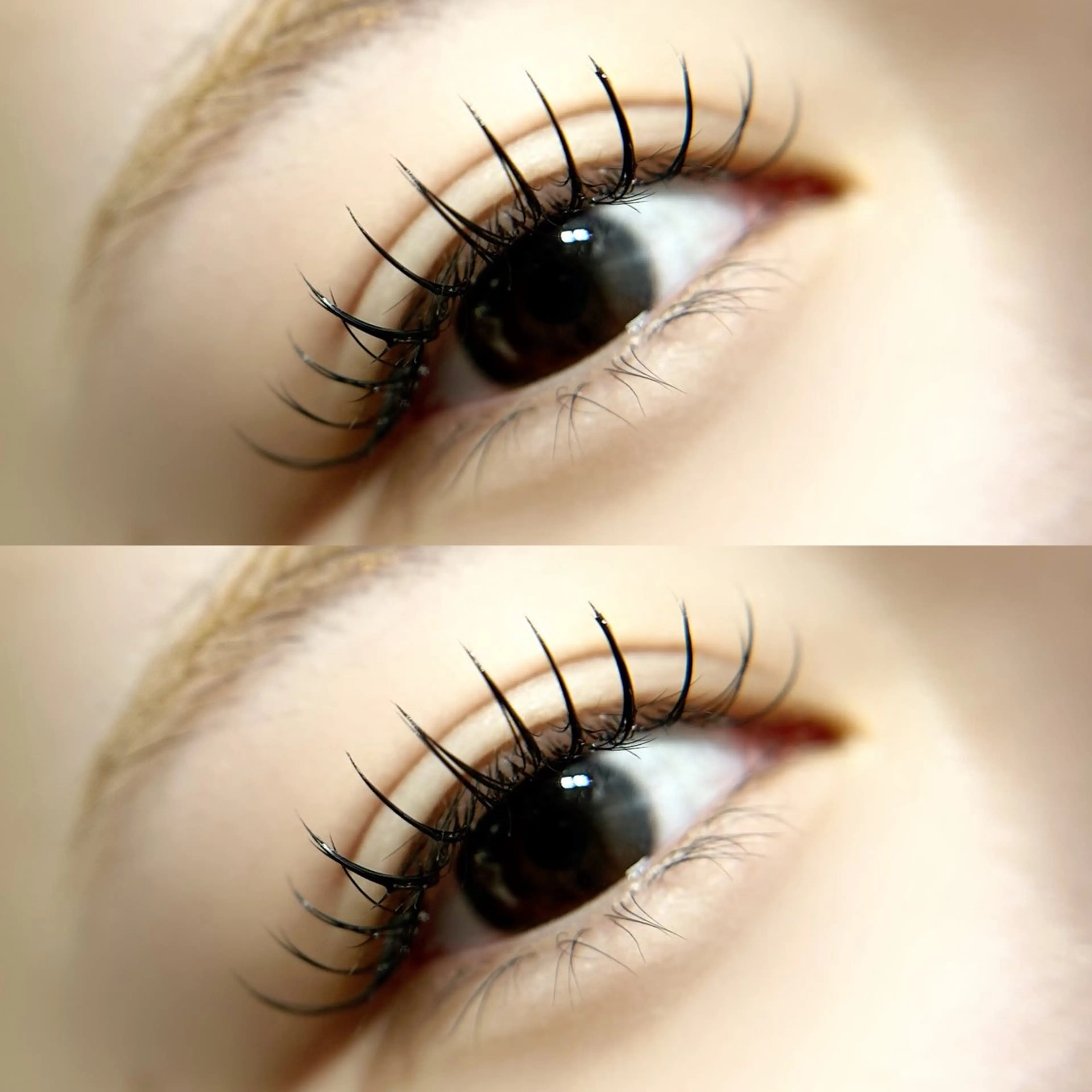 マツエク・マツパ peTiT京橋店🌷 YAMASAKIのマツエク・マツパデザイン