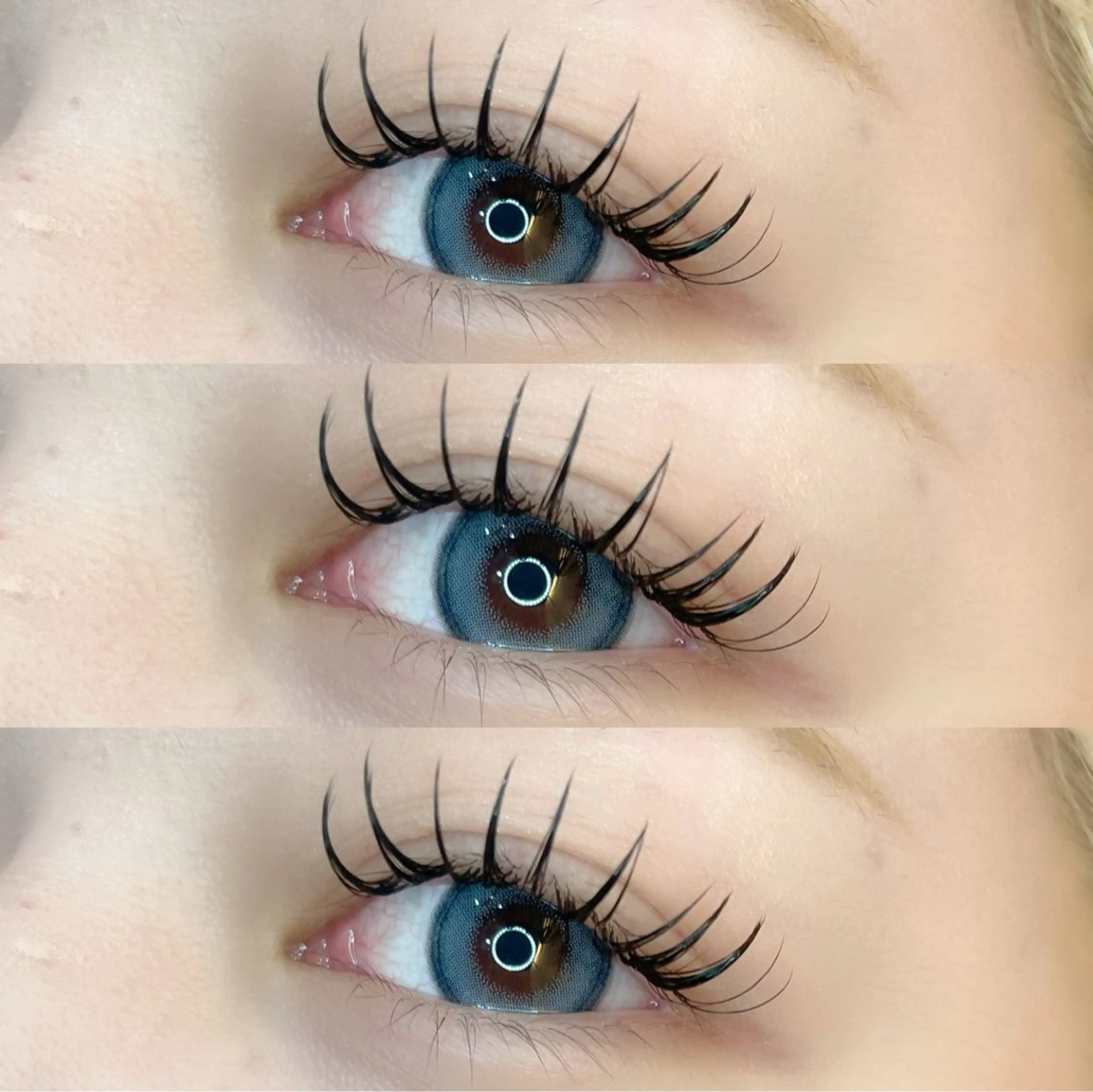 🌿バインドロック60束🌿デザインお選びいただけます！の写真