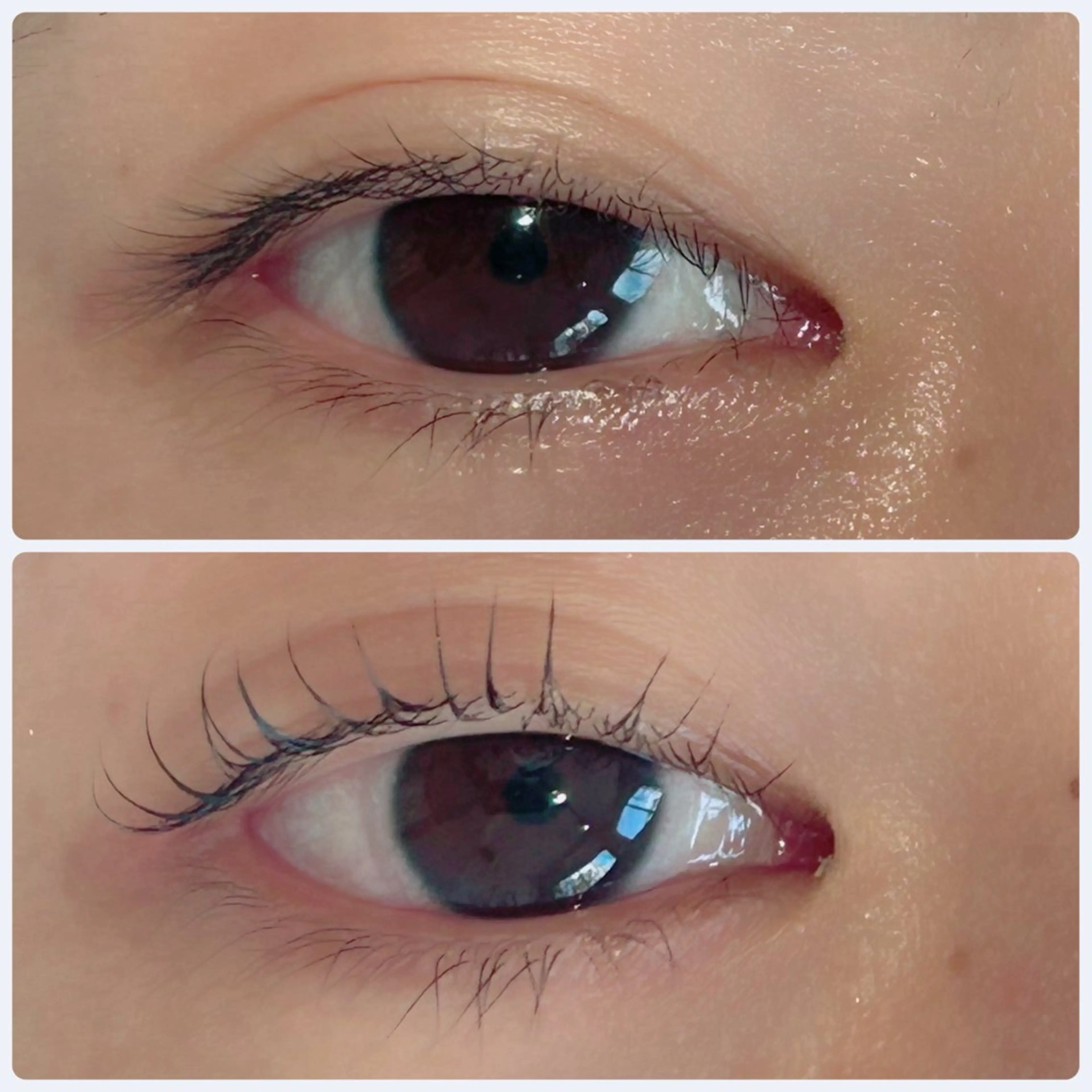 マツエク・マツパ まつげパーマ マツパ ena. nozomiのマツエク・マツパデザイン