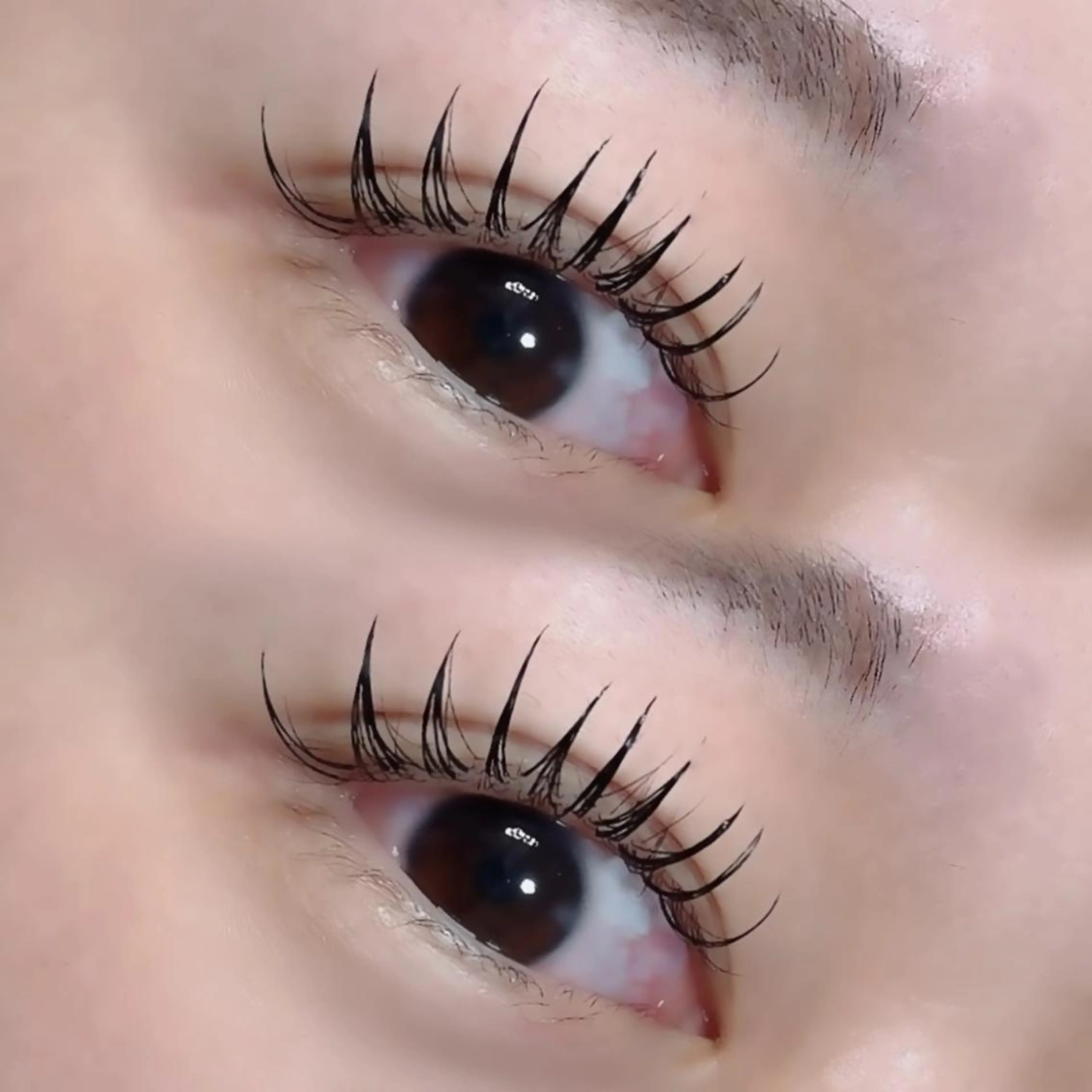 フラットラッシュ120本🤍の写真