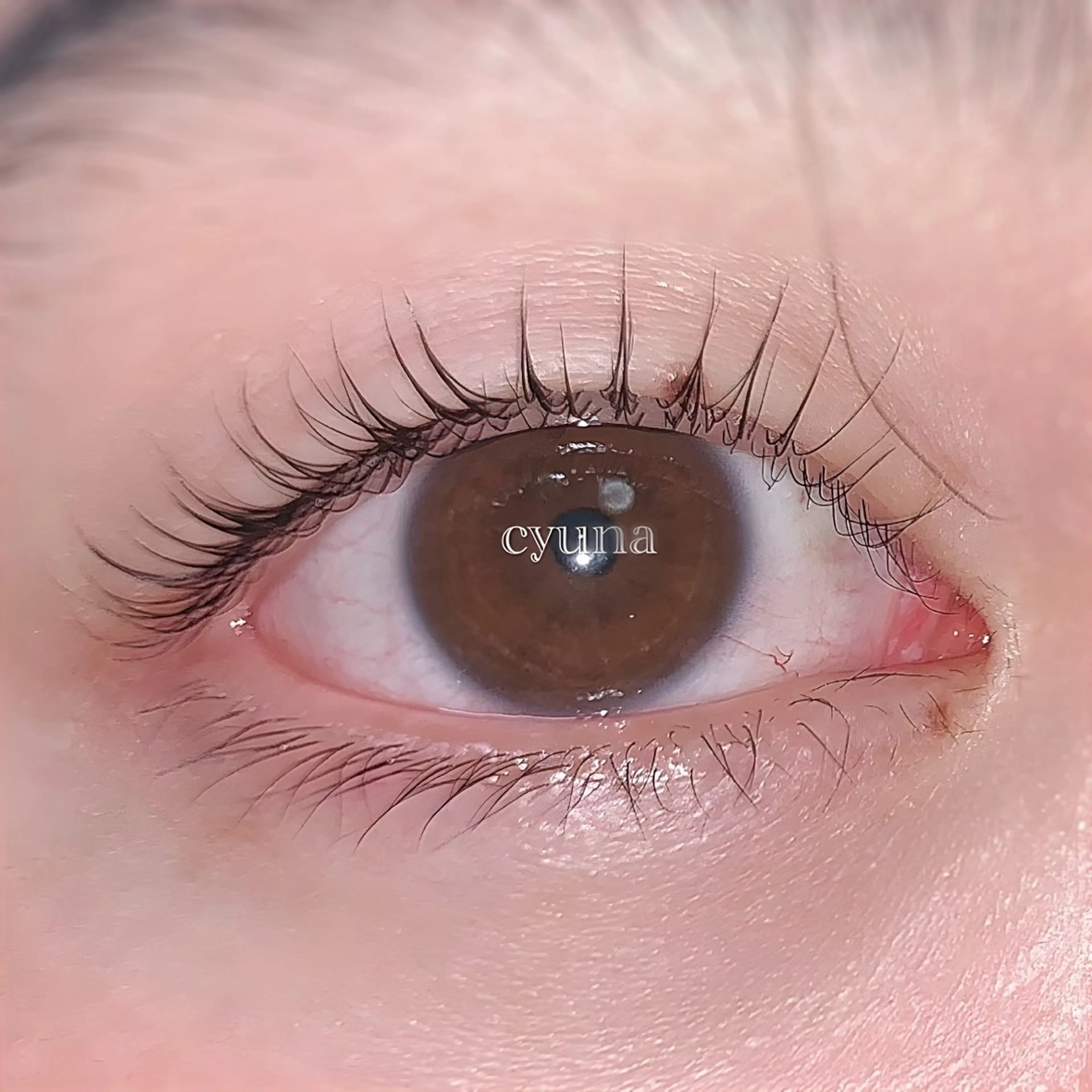 マツエク・マツパ パリジェンヌラッシュリフト マツエク専門店 cyunaのマツエク・マツパデザイン