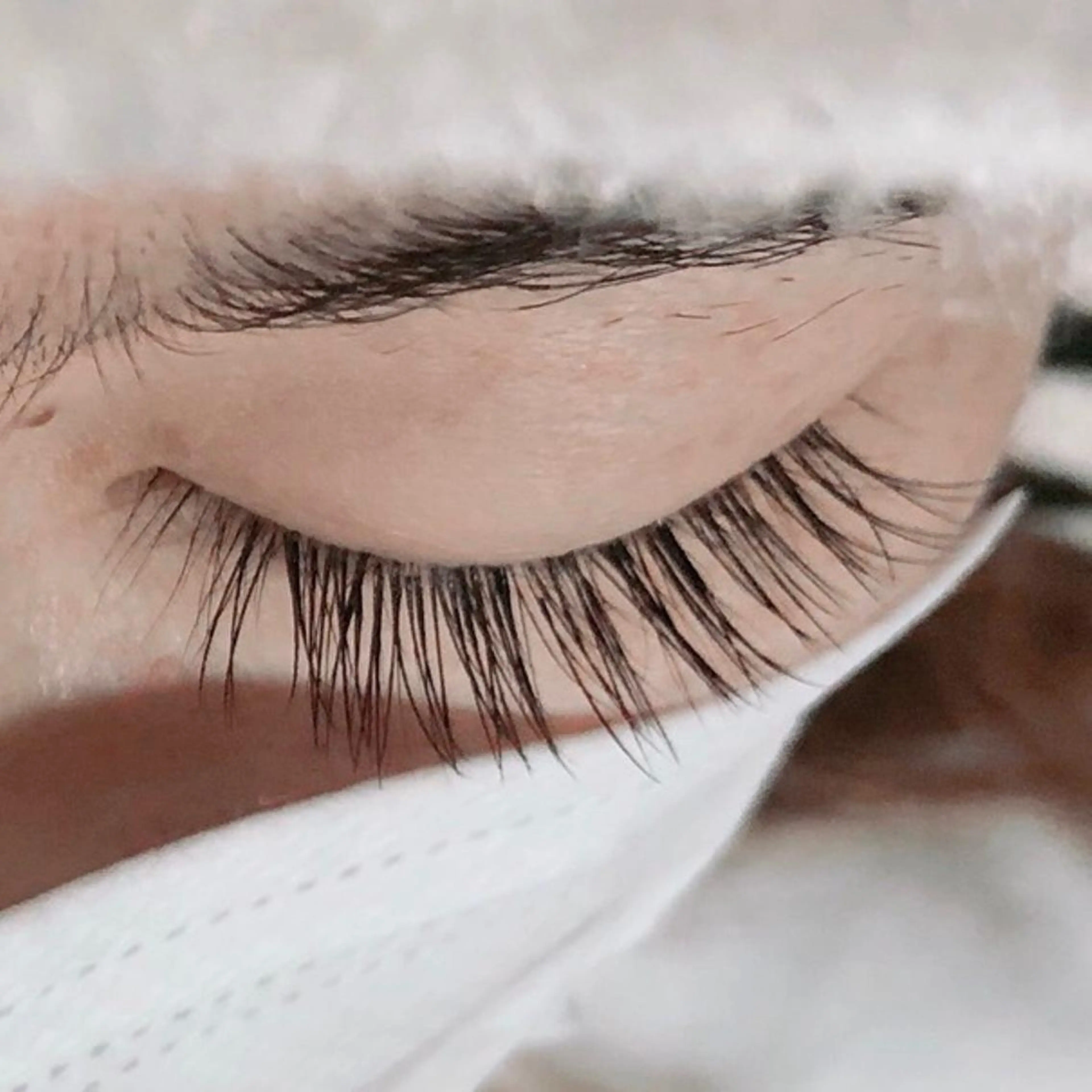 マツエク・マツパ 付け放題 フラットラッシュ BIONAS 【ビオナス】の眉毛・アイブロウイメージ