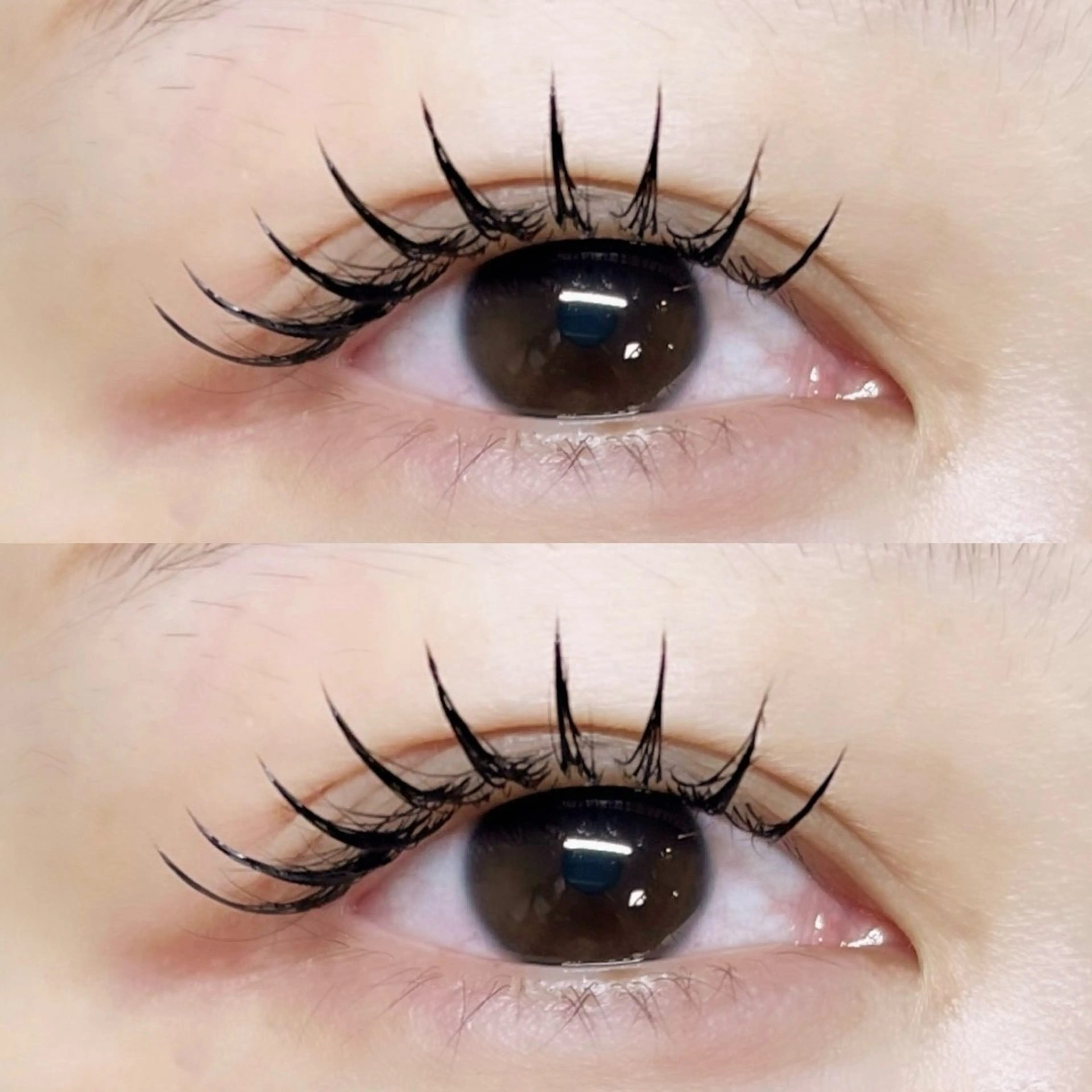 🌼【LEDエクステ】フラットラッシュ140本まで※オフ別🌼の写真