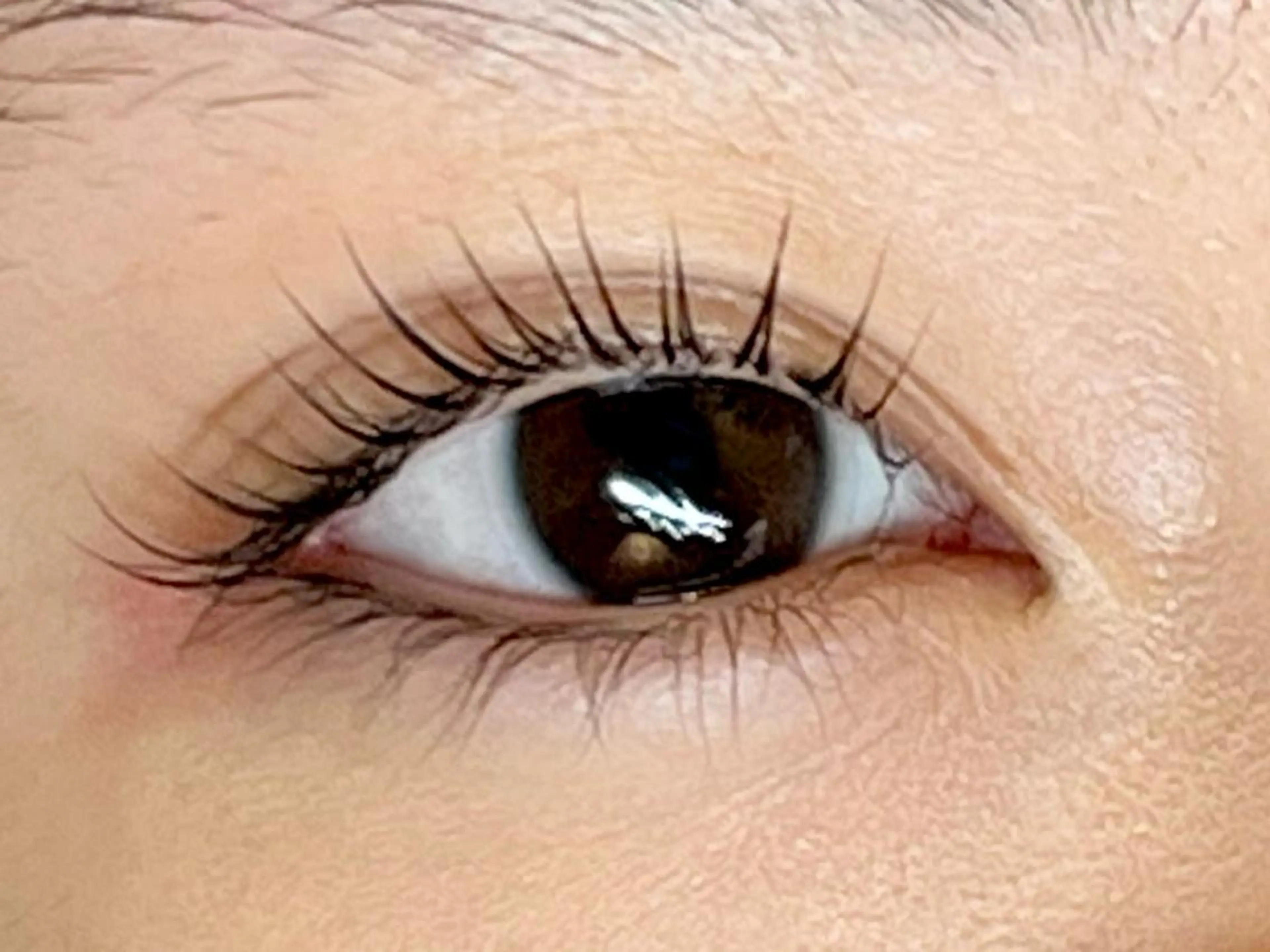 マツエク・マツパ マツパ STELLA ステラのマツエク・マツパデザイン