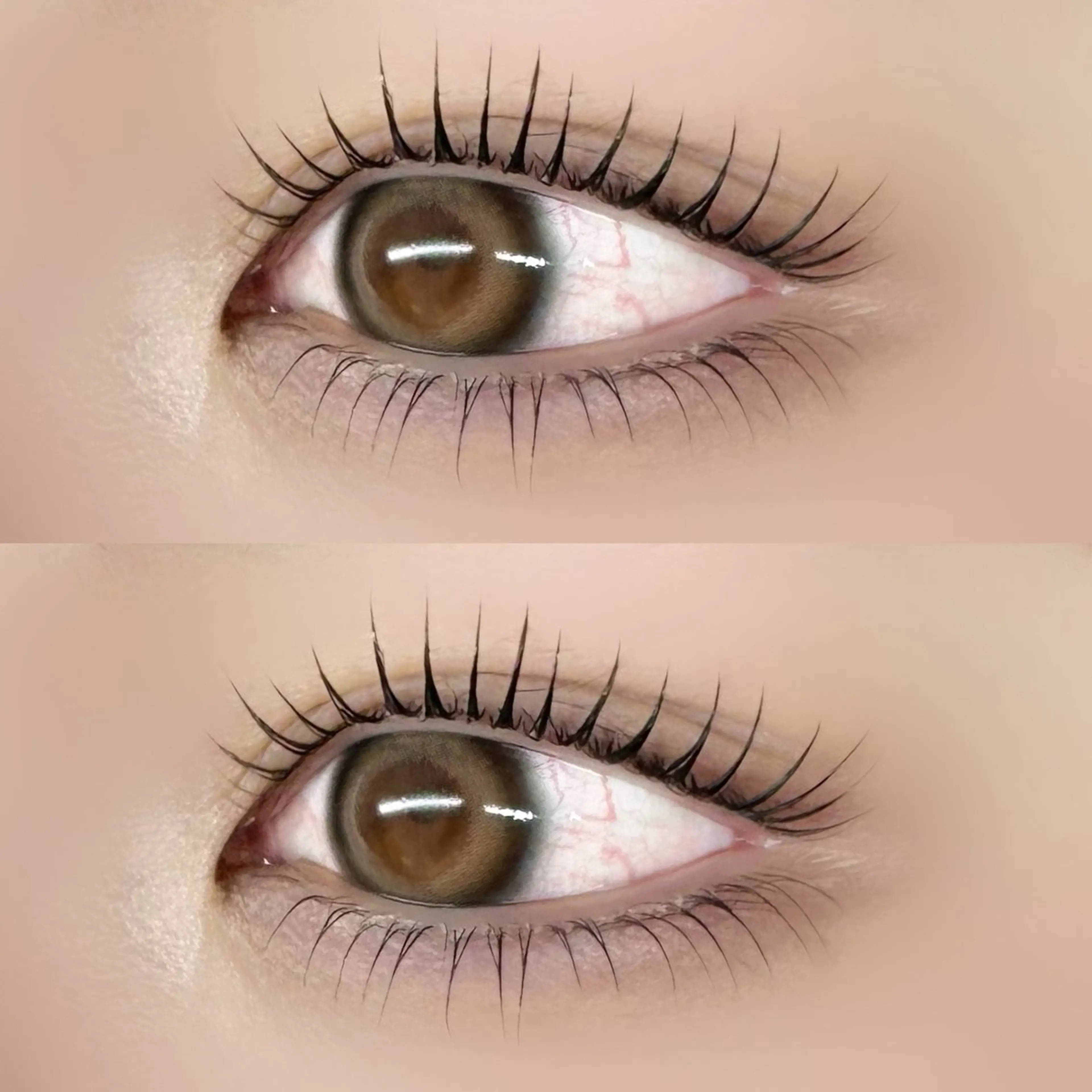 【ご新規様限定】目の縦幅UP！上下まつ毛パーマ✨の写真