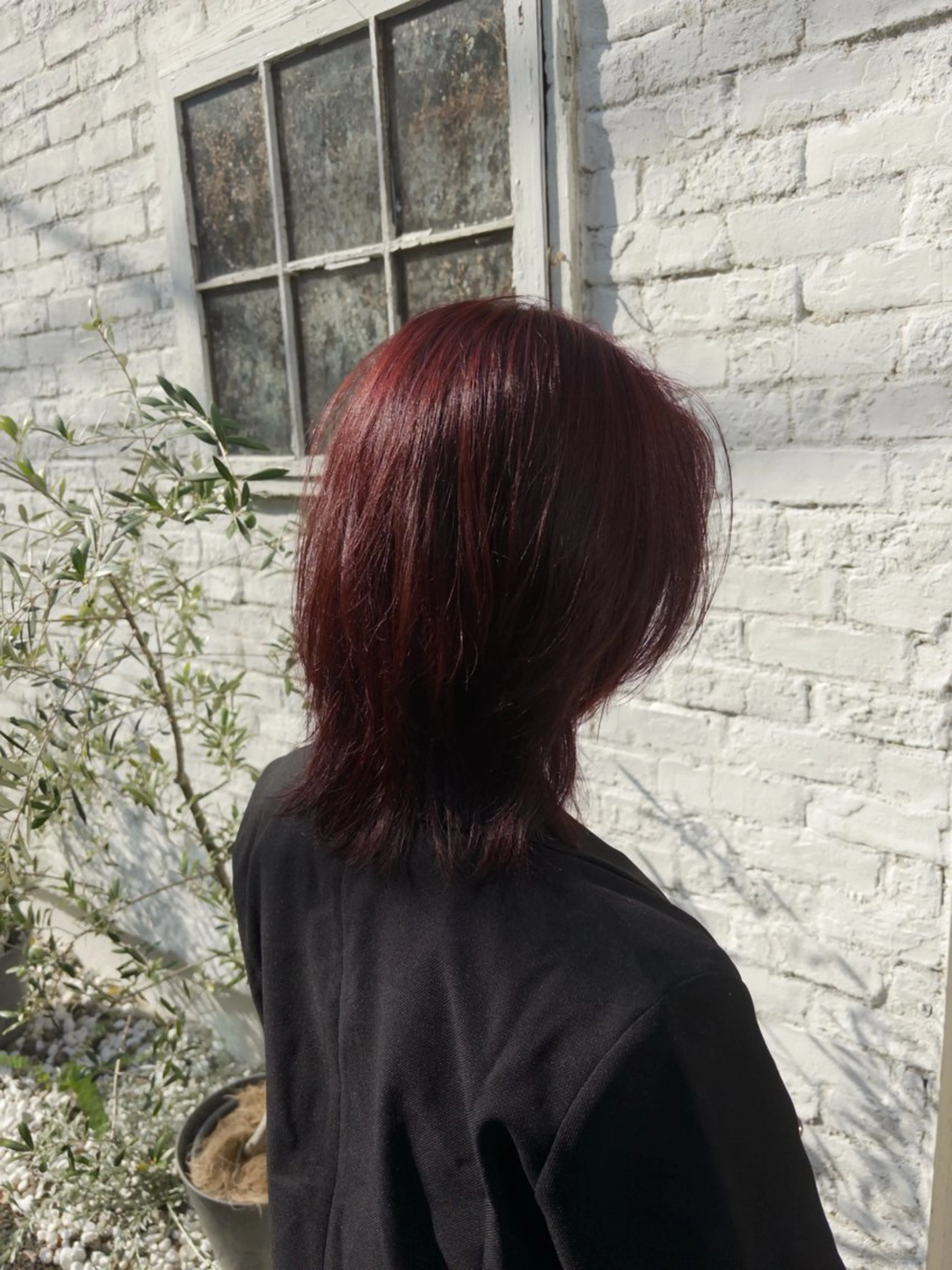 ミディアム カラー ヘアカラー SHO 👻原宿 /艶カラーのヘアスタイル