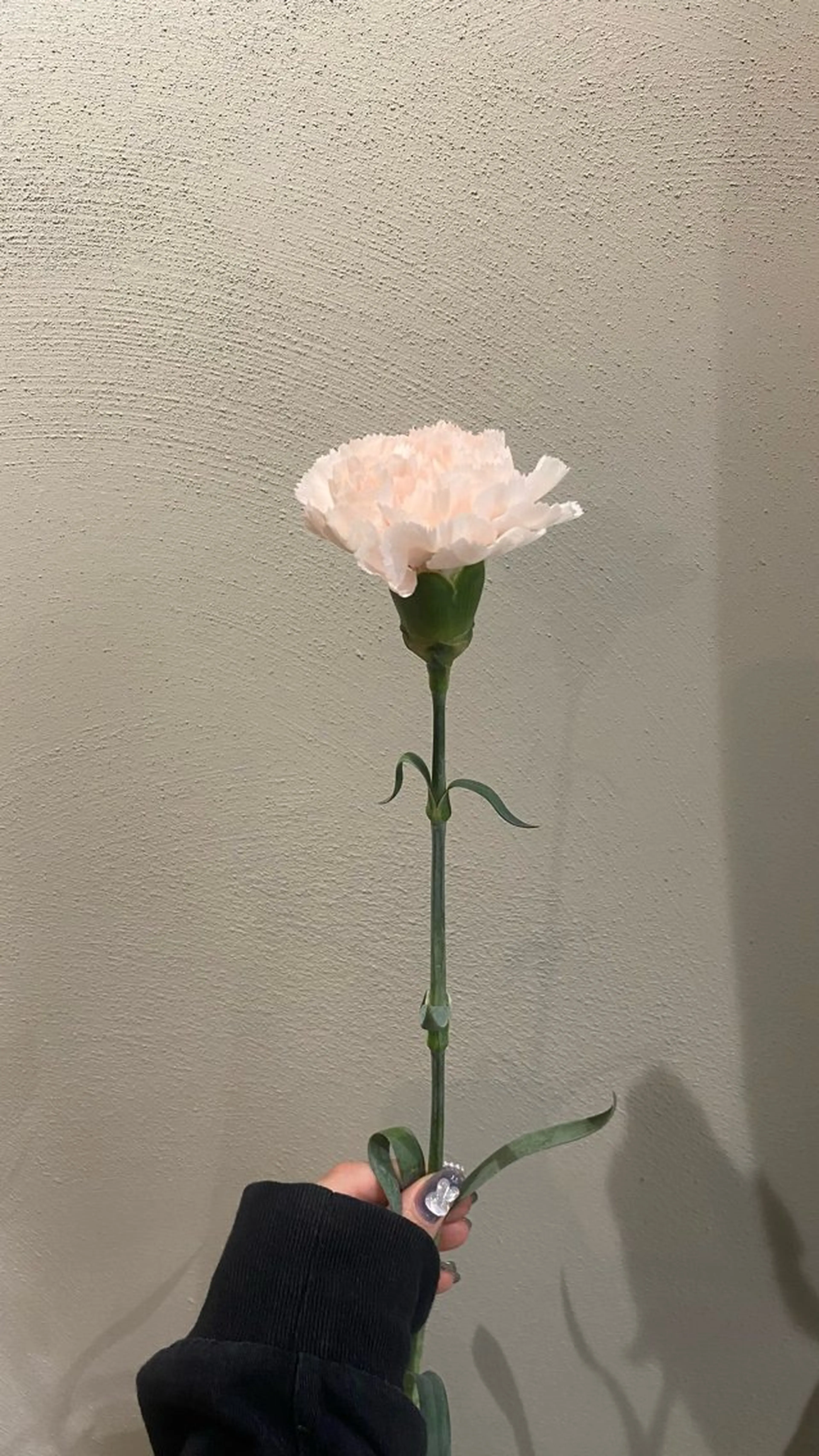 カット ヘアカラー トリートメント 🌻花屋併設🌻濱 幸帆のヘアスタイル