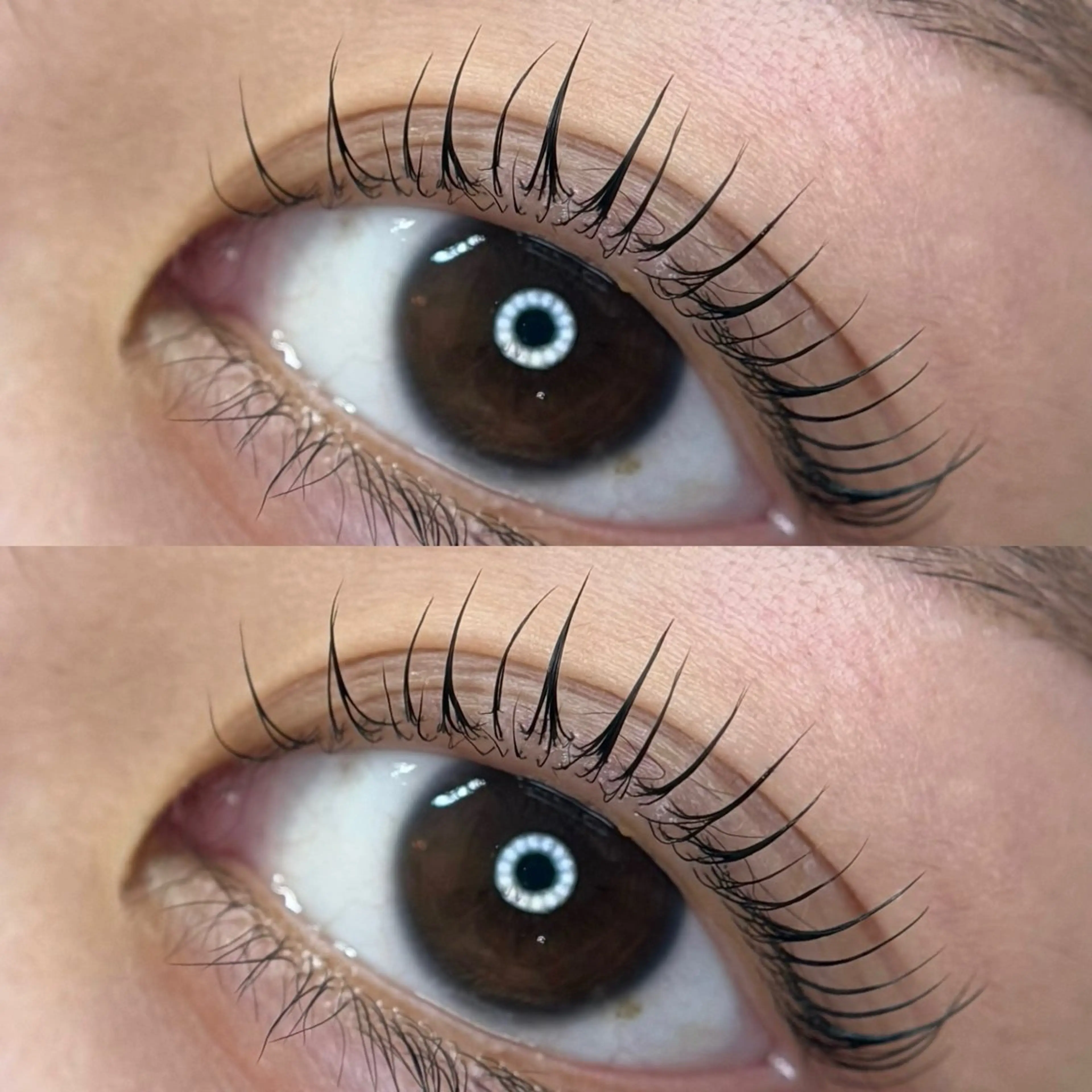 マツエク・マツパ MEME🐰 上本町/谷九のマツエク・マツパデザイン