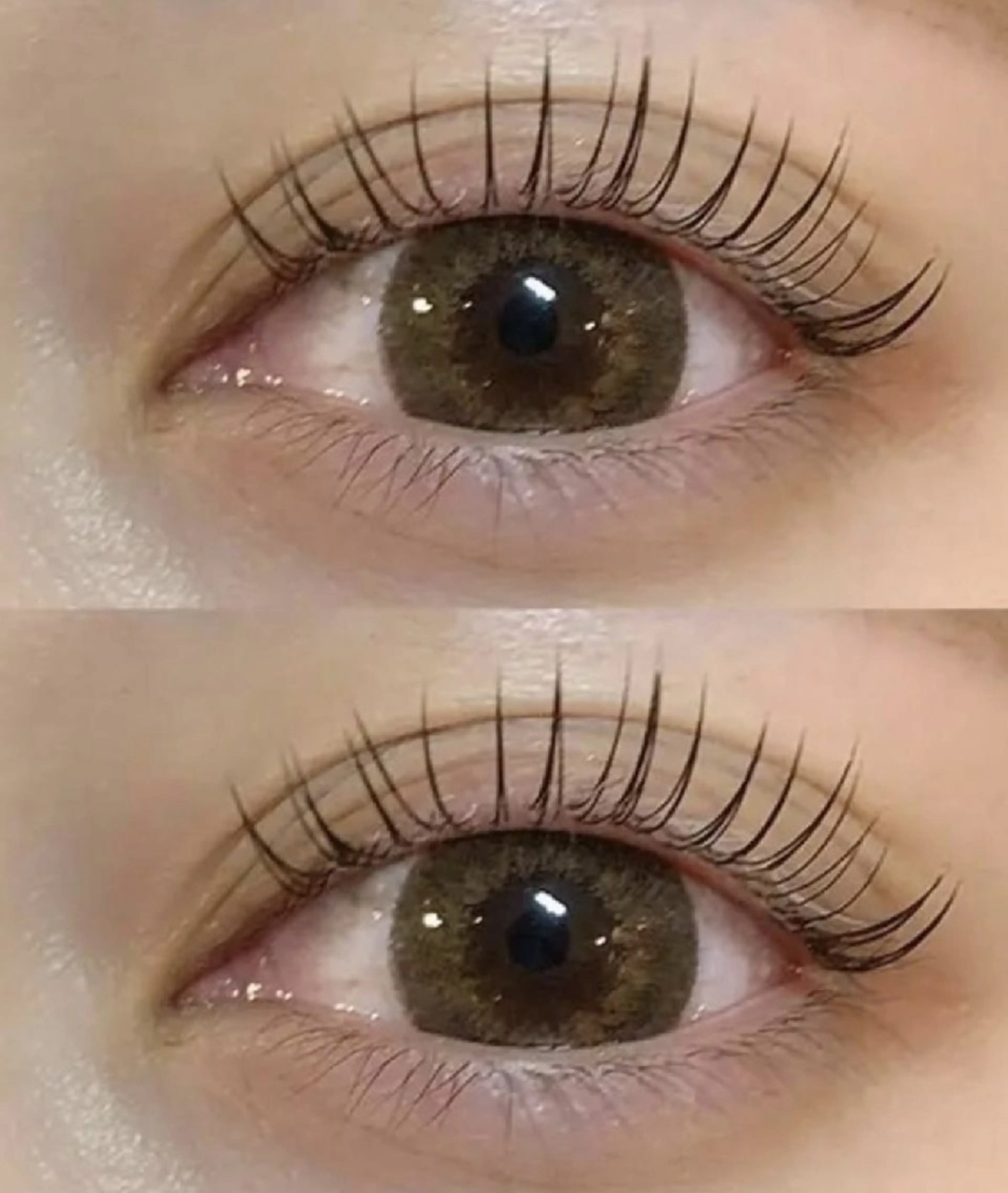 🦩次世代まつげパーマ🦩パリジェンヌラッシュリフト(上) +コーティング🦩の写真