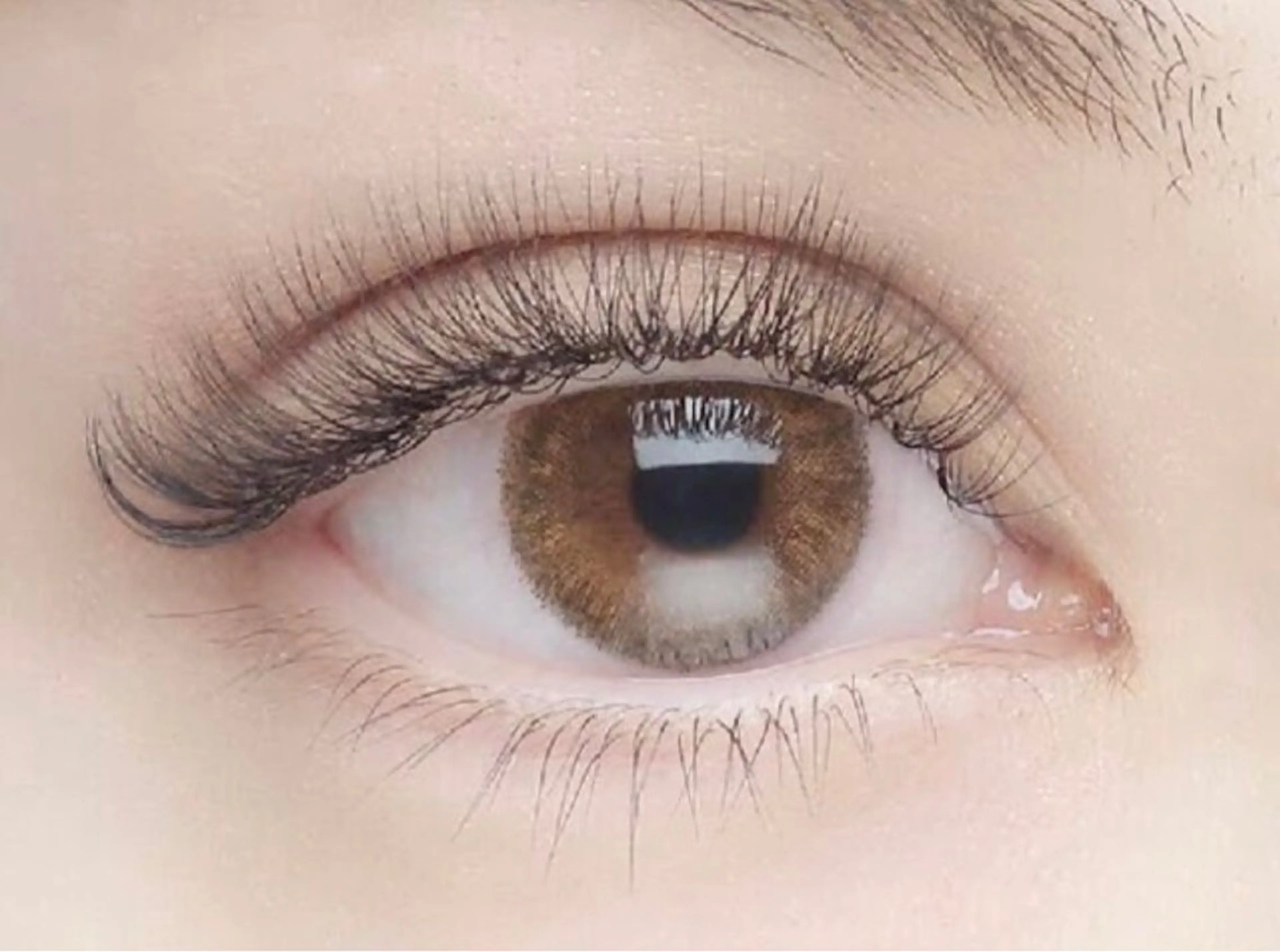 マツエク・マツパ 森　アイラシュ (旧魅力総合サロン）のマツエク・マツパデザイン