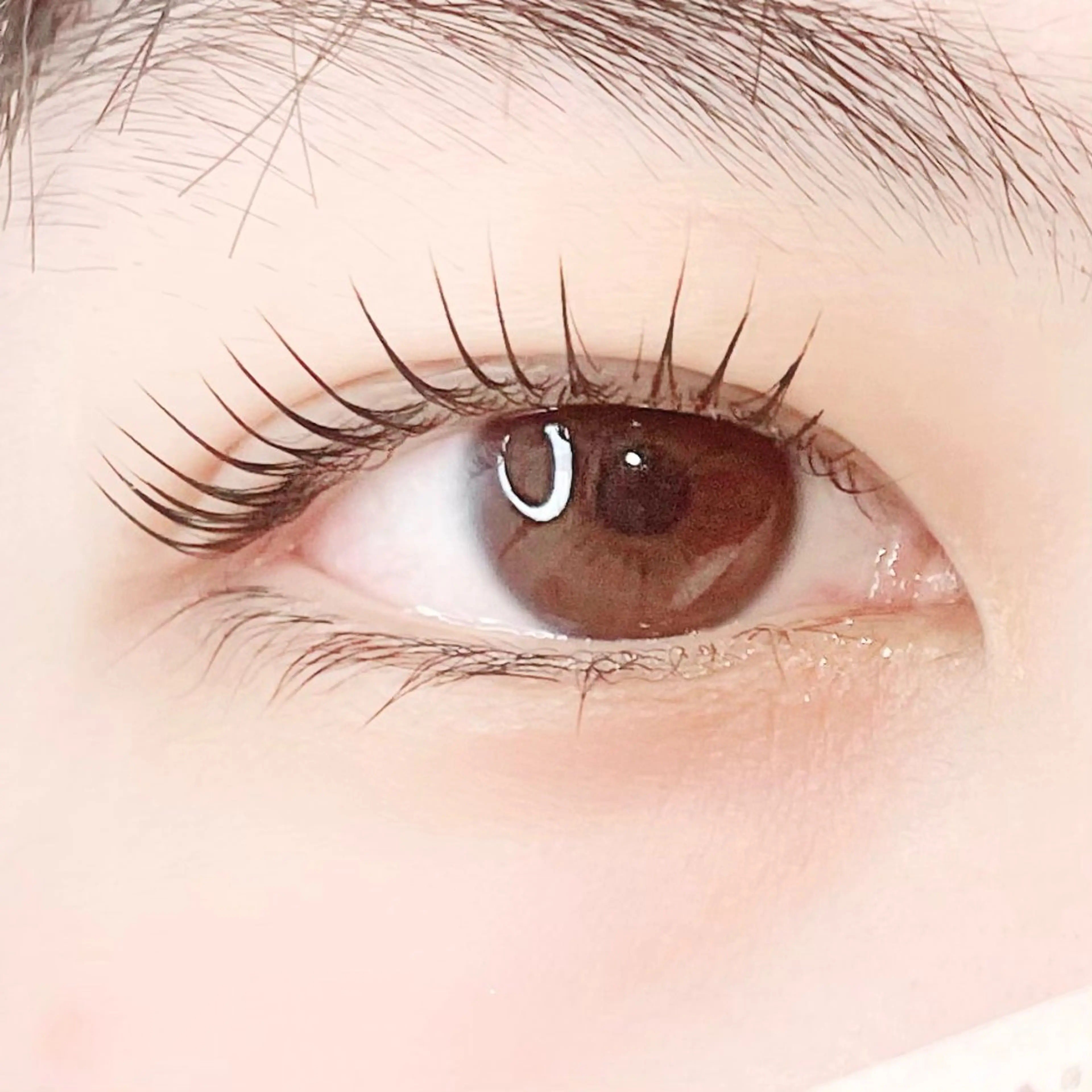 マツエク・マツパ パリジェンヌラッシュリフト fan.germe 店長🍀yukaのマツエク・マツパデザイン