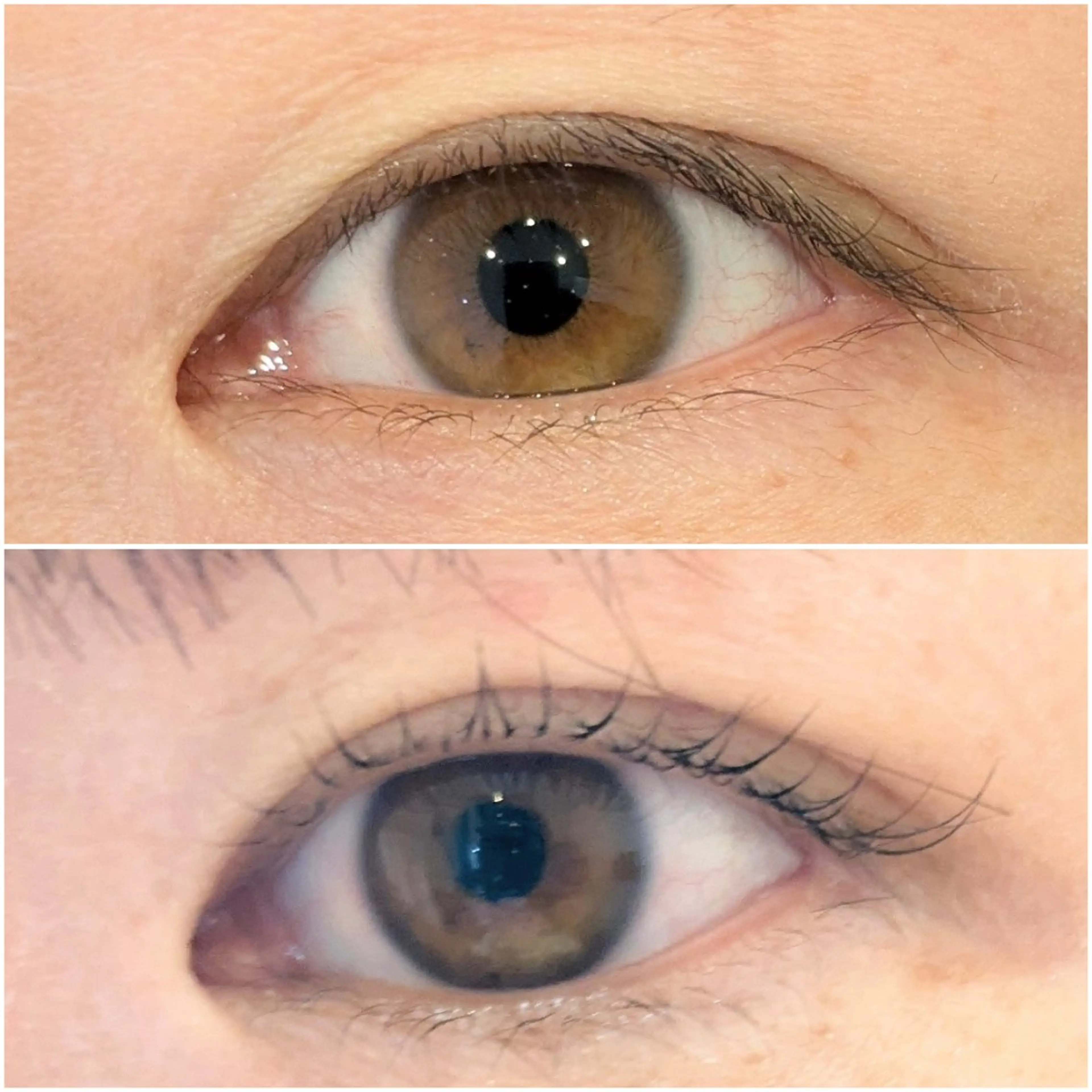 マツエク・マツパ 一重×まつ毛パーマ 【泉中央】CLASS 中村のマツエク・マツパデザイン