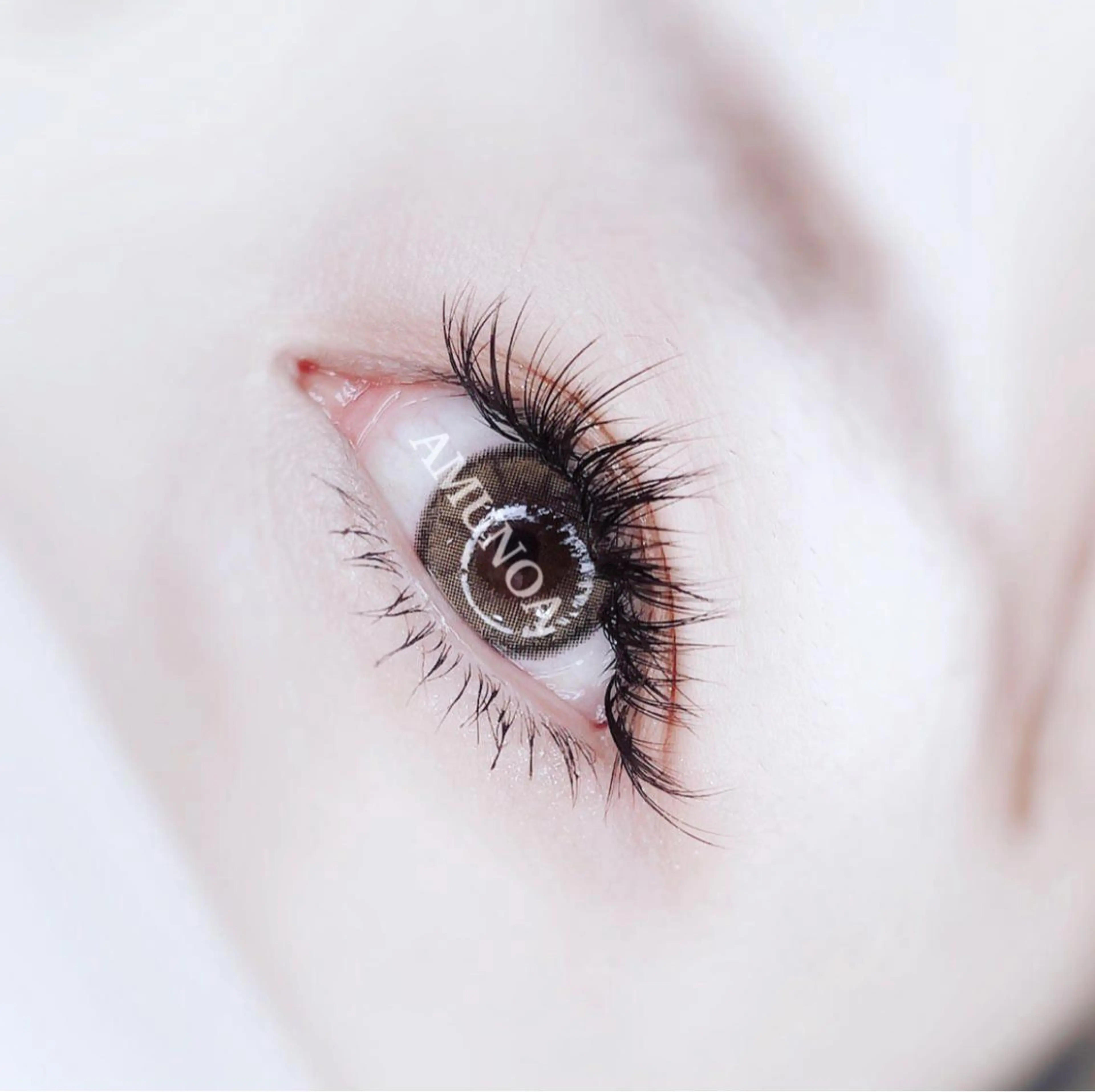 期間限定価格❤マツエク30分つけ放題❤（オフ無し）の写真