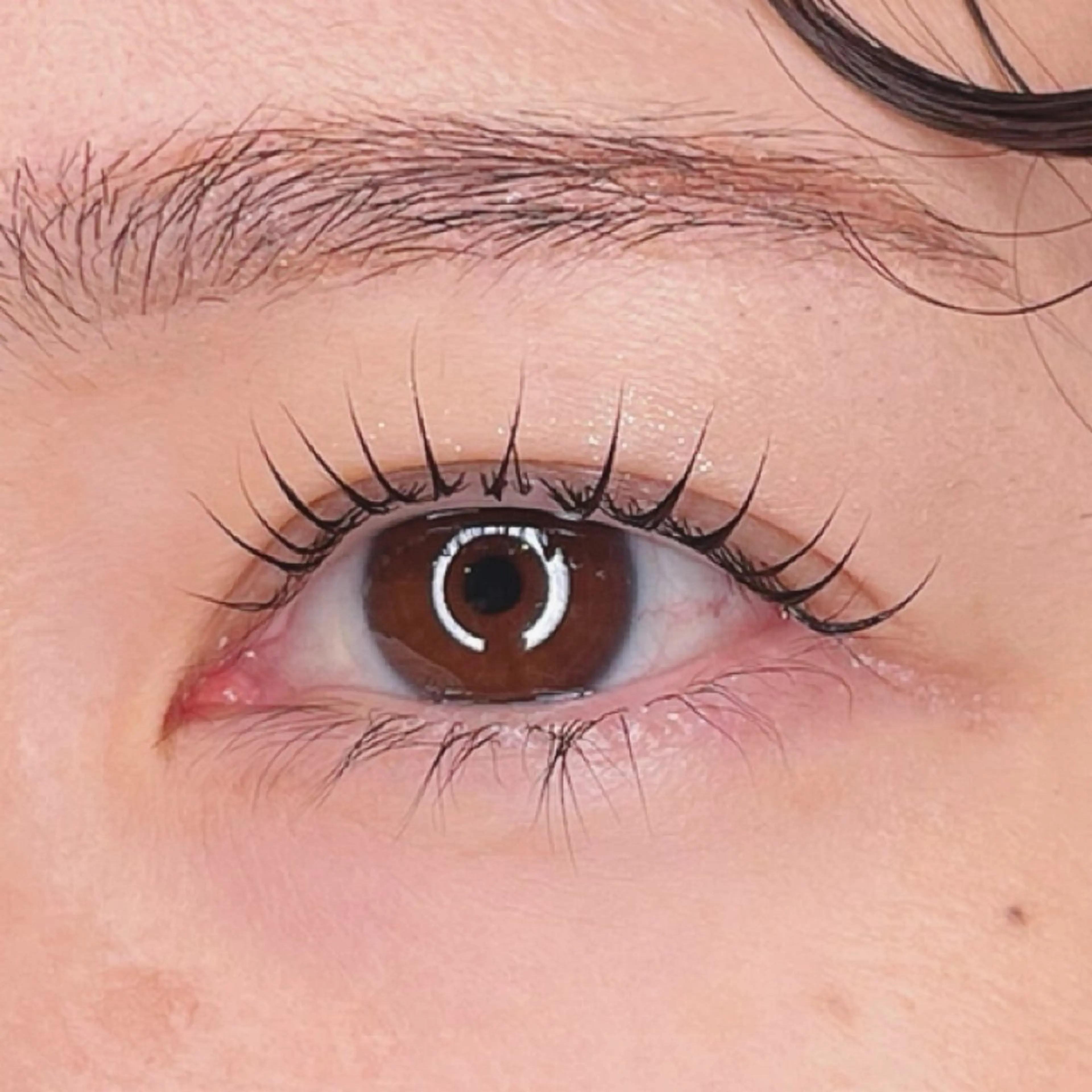 マツエク・マツパ マツパ cache 【カシェ】所属・cache / SAKIの眉毛・アイブロウイメージ