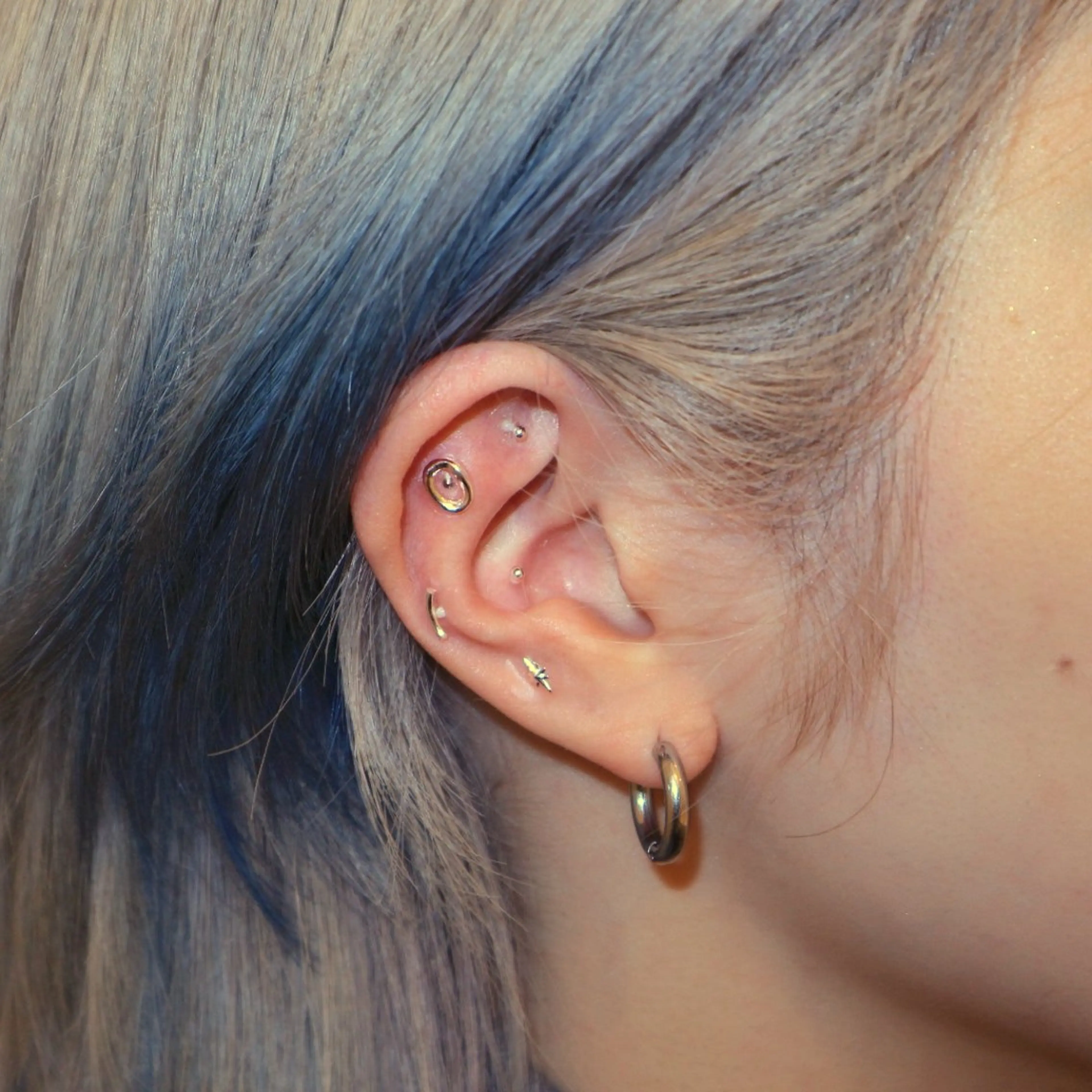 B.napus/mimi2bo所属・B.napus Nanohaのその他イメージ