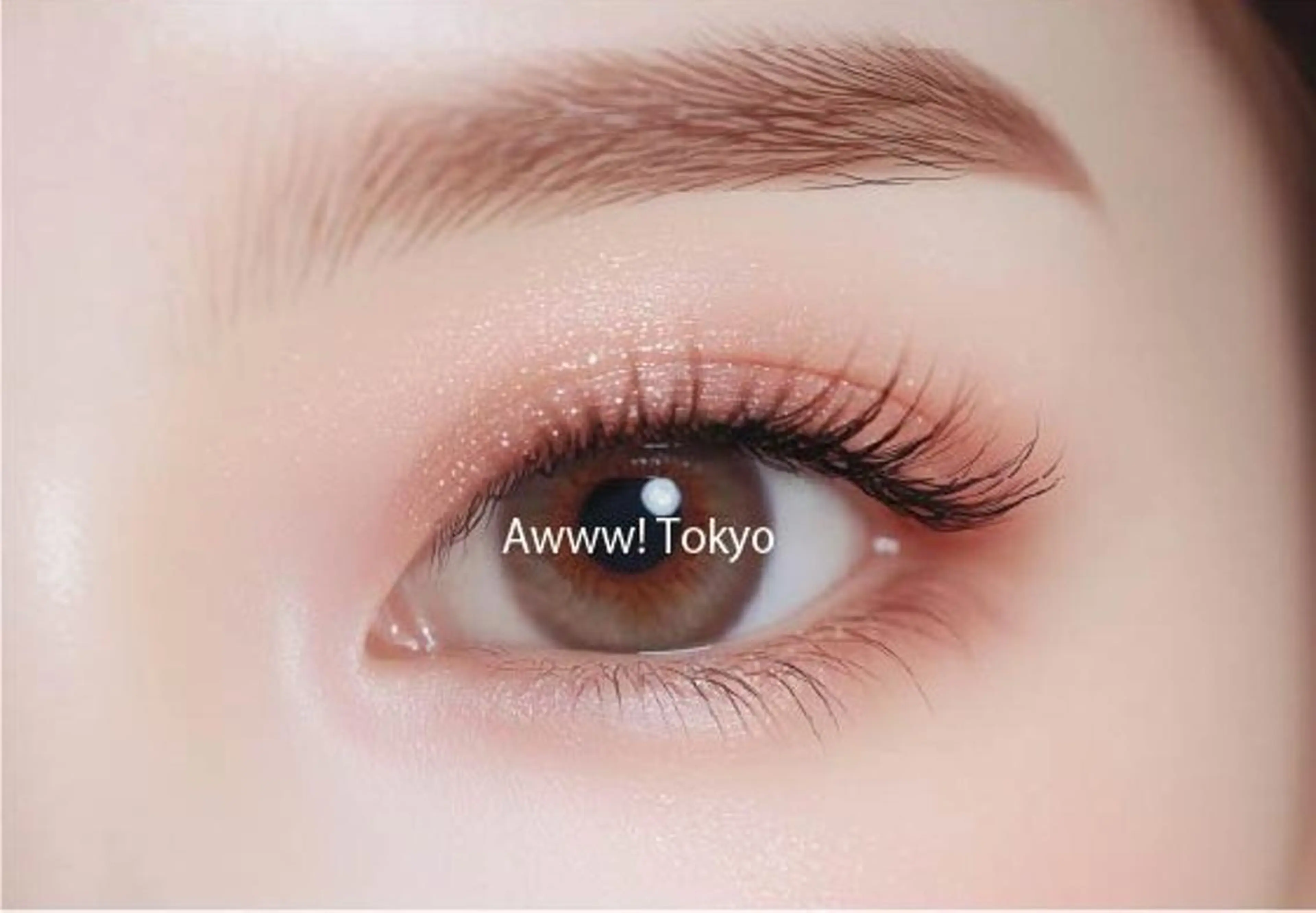 【新規限定】アイブロウスタイリングの写真