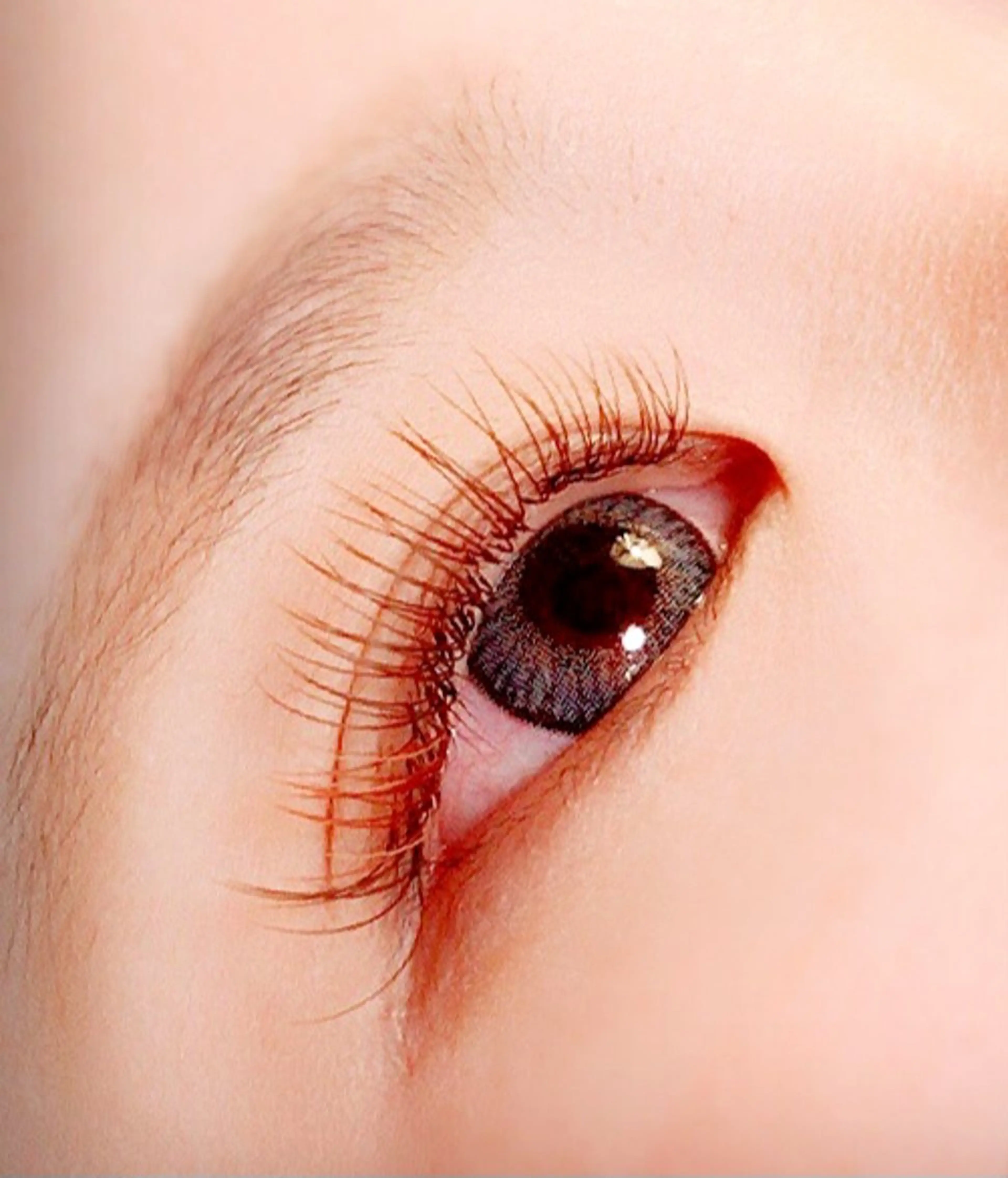 👑大人気‼️カラーマツエク￥3600/130本👑(オフ込アイシャン付)👑ホワイト&パステルも👑４色MIXOK❤️の写真