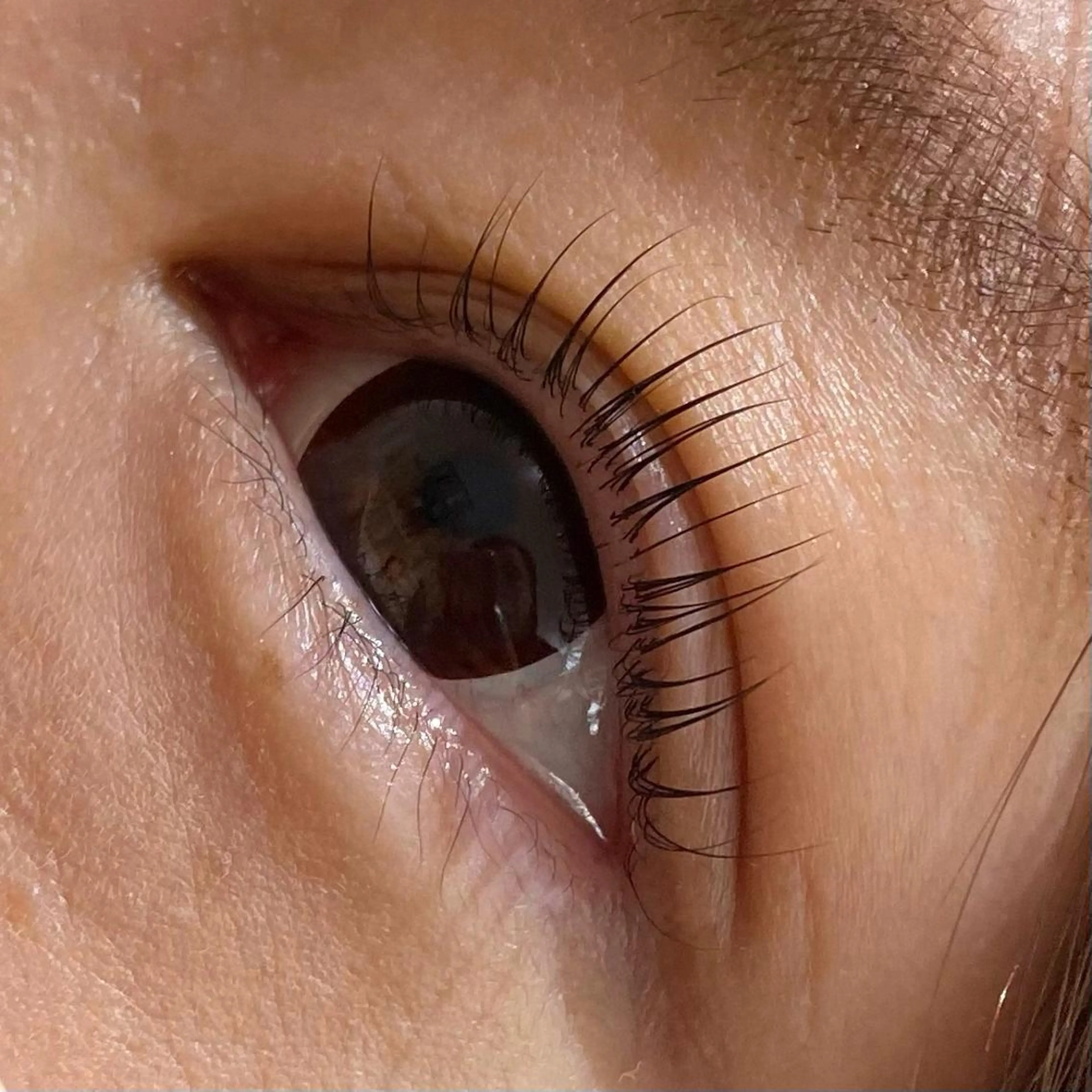 マツエク・マツパ chatran ishimochiのマツエク・マツパデザイン