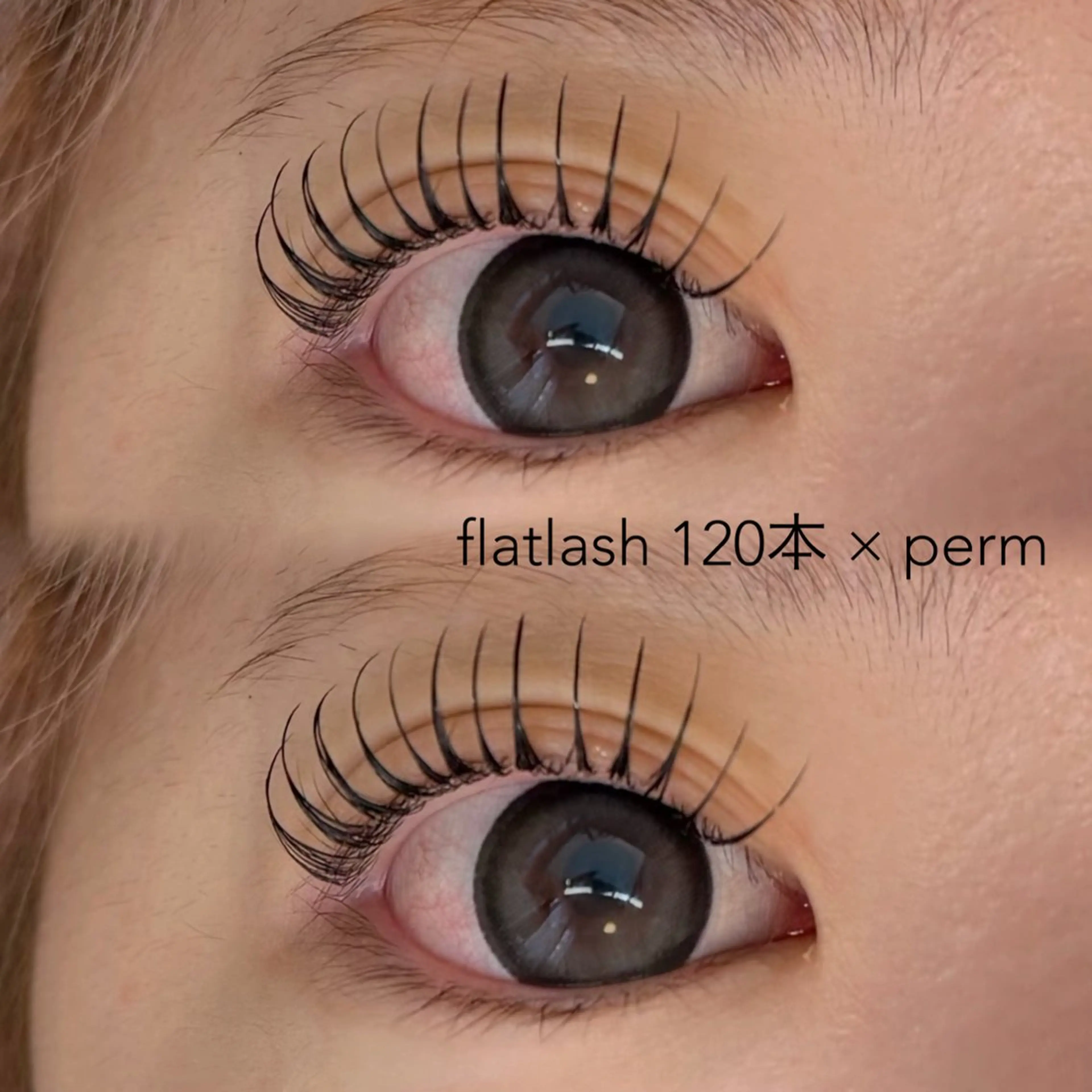 【エクステパーマ】🧸まつげパーマ✖️LEDエクステ🧸80~100本※平日のみの写真
