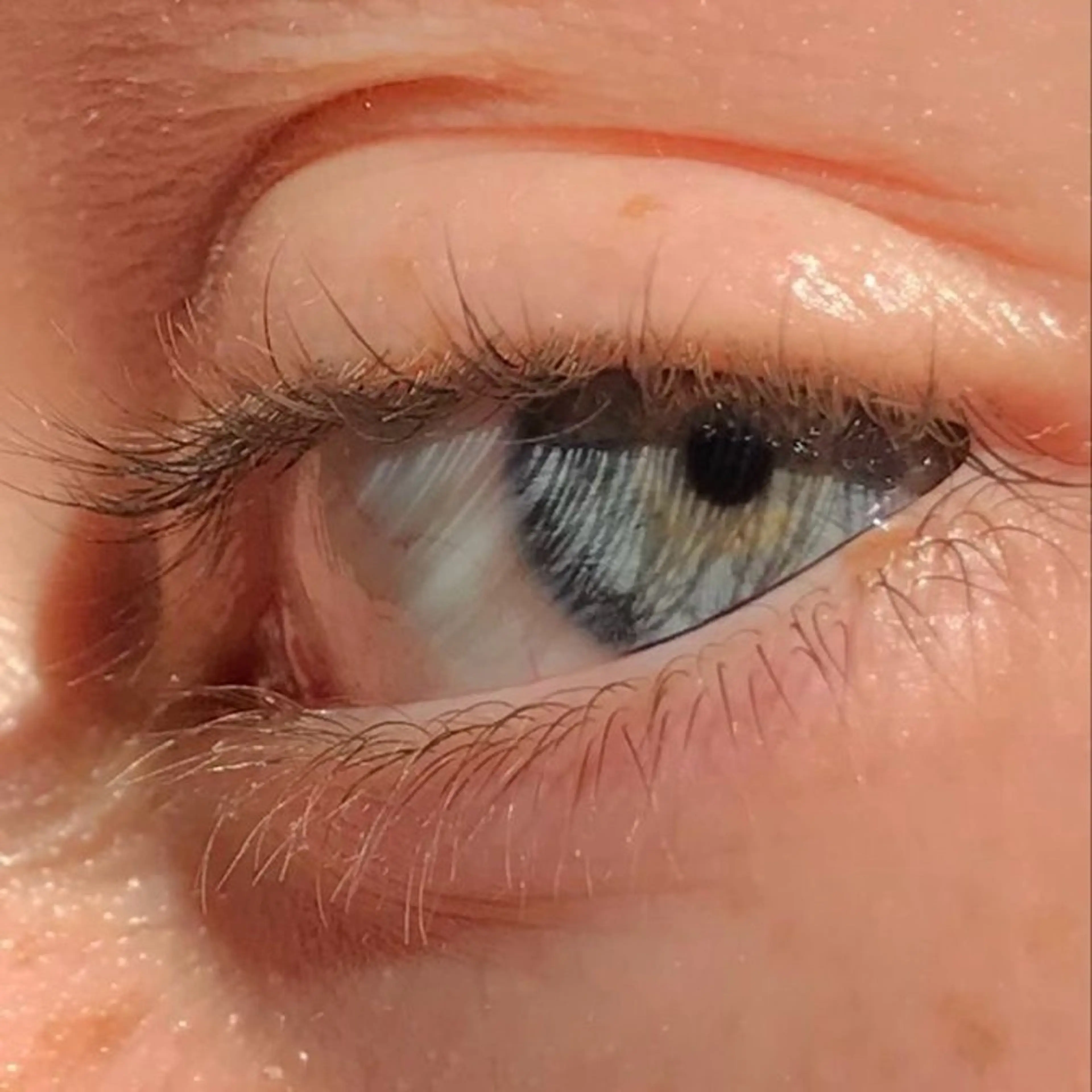 選べるまつ毛パーマ【韓国風パーマ/パリジェンヌ/Cカール】の写真