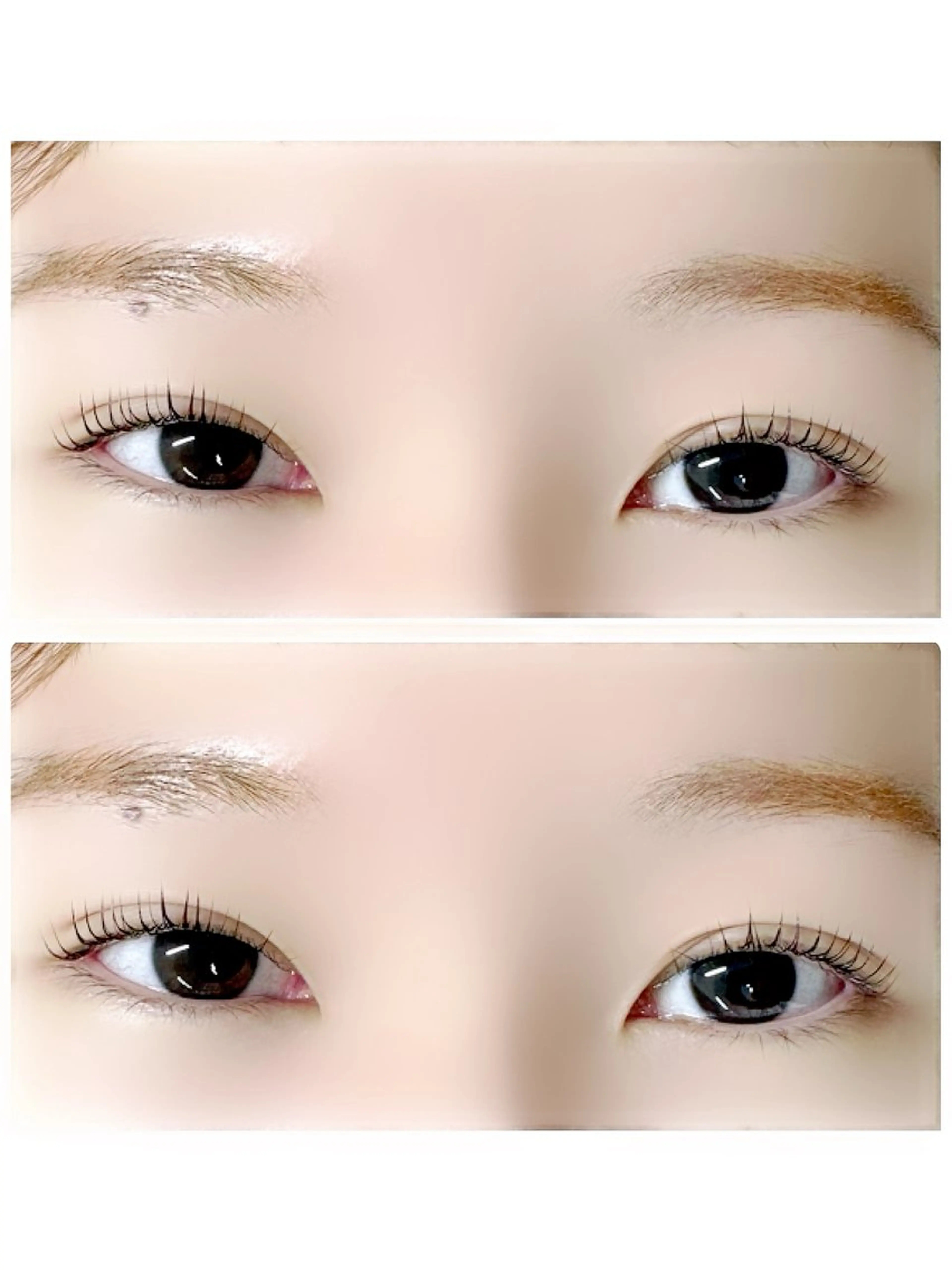 パーマ マツパ alice tokyo 髙橋★の眉毛・アイブロウイメージ