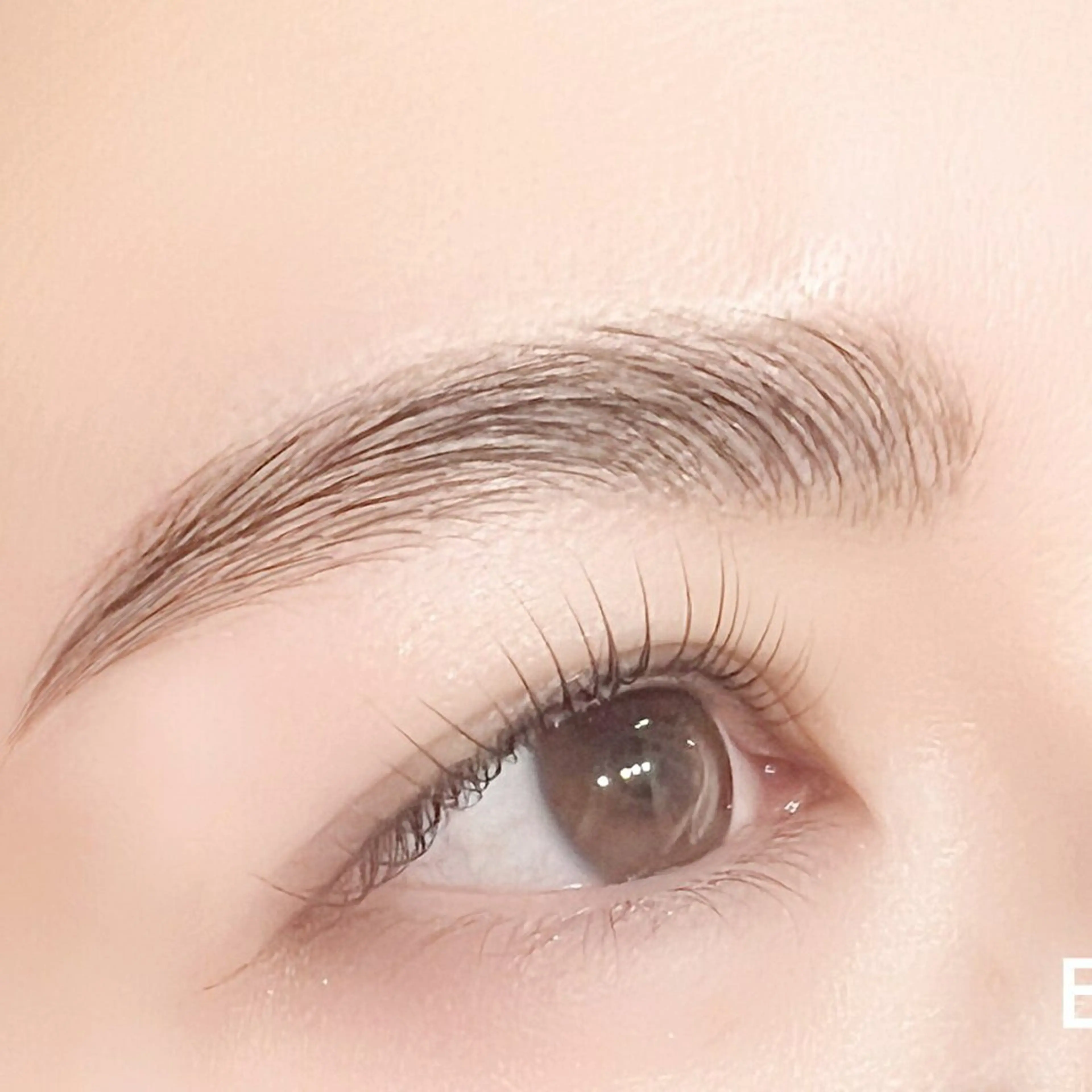 【HBL+まつ毛パーマ】※WAX込み、ケラチントリートメント付きの写真