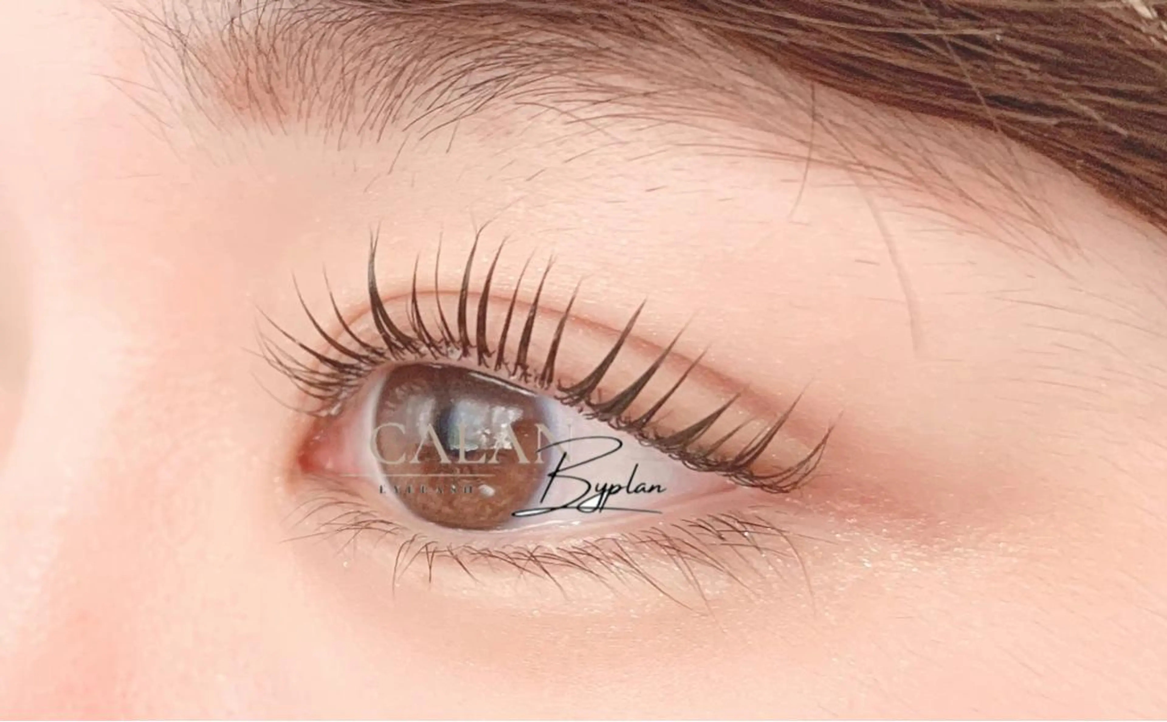 マツエク・マツパ 一重×まつ毛パーマ LEDマツエク /束感🎀yukiのマツエク・マツパデザイン