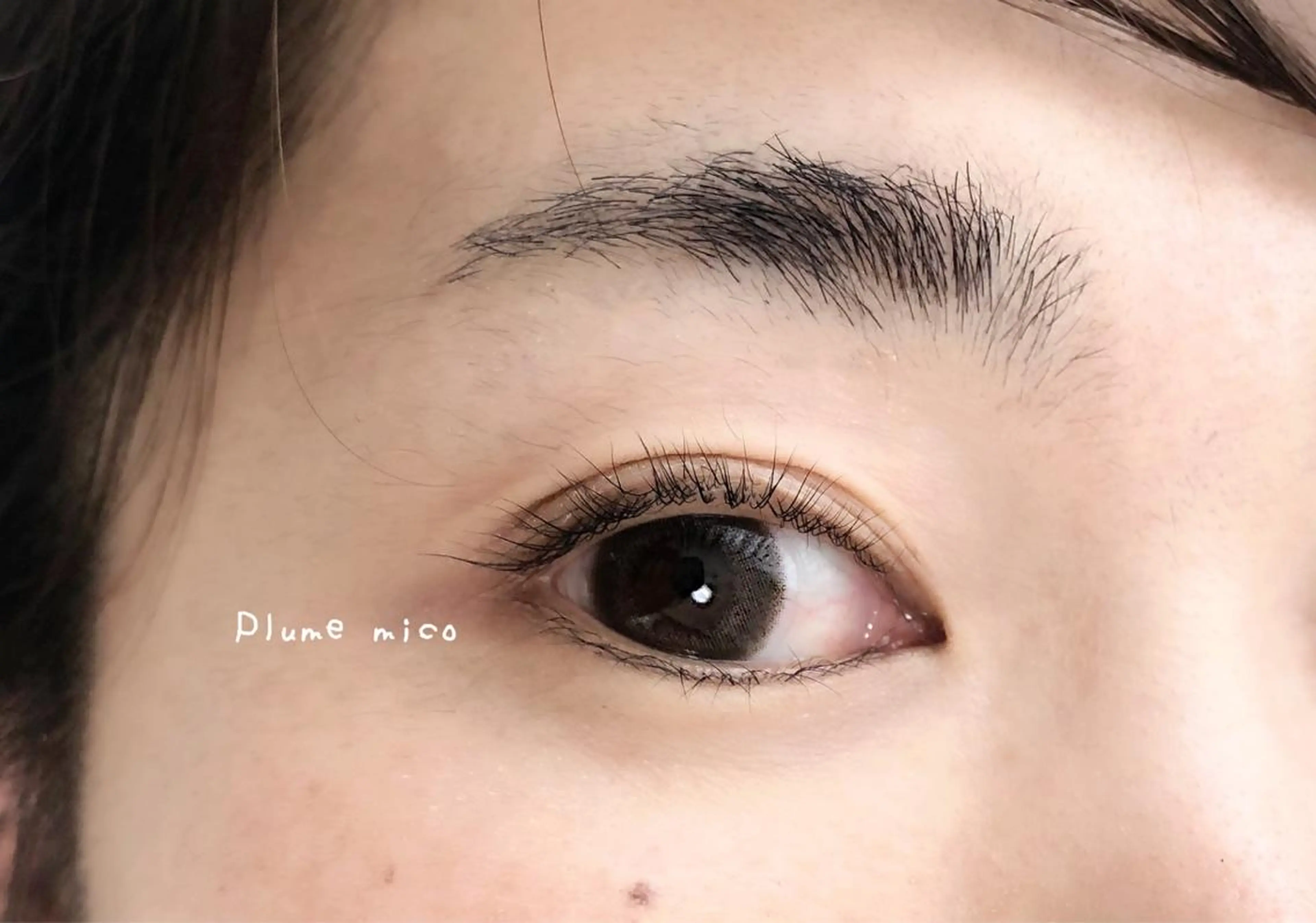 マツエク・マツパ マツパ Plume micoのマツエク・マツパデザイン