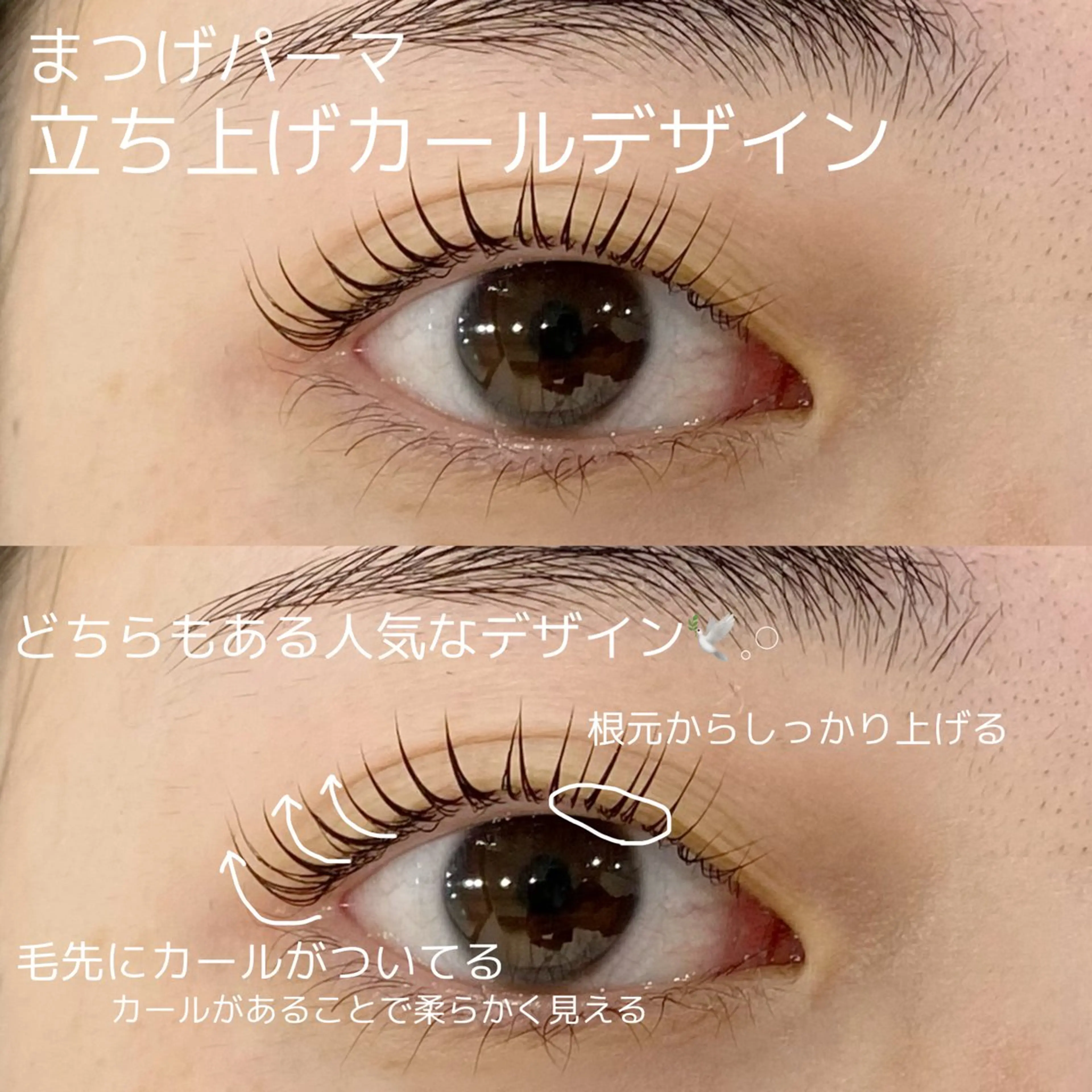 マツエク・マツパ まつげパーマ Haruki (はるき)のマツエク・マツパデザイン