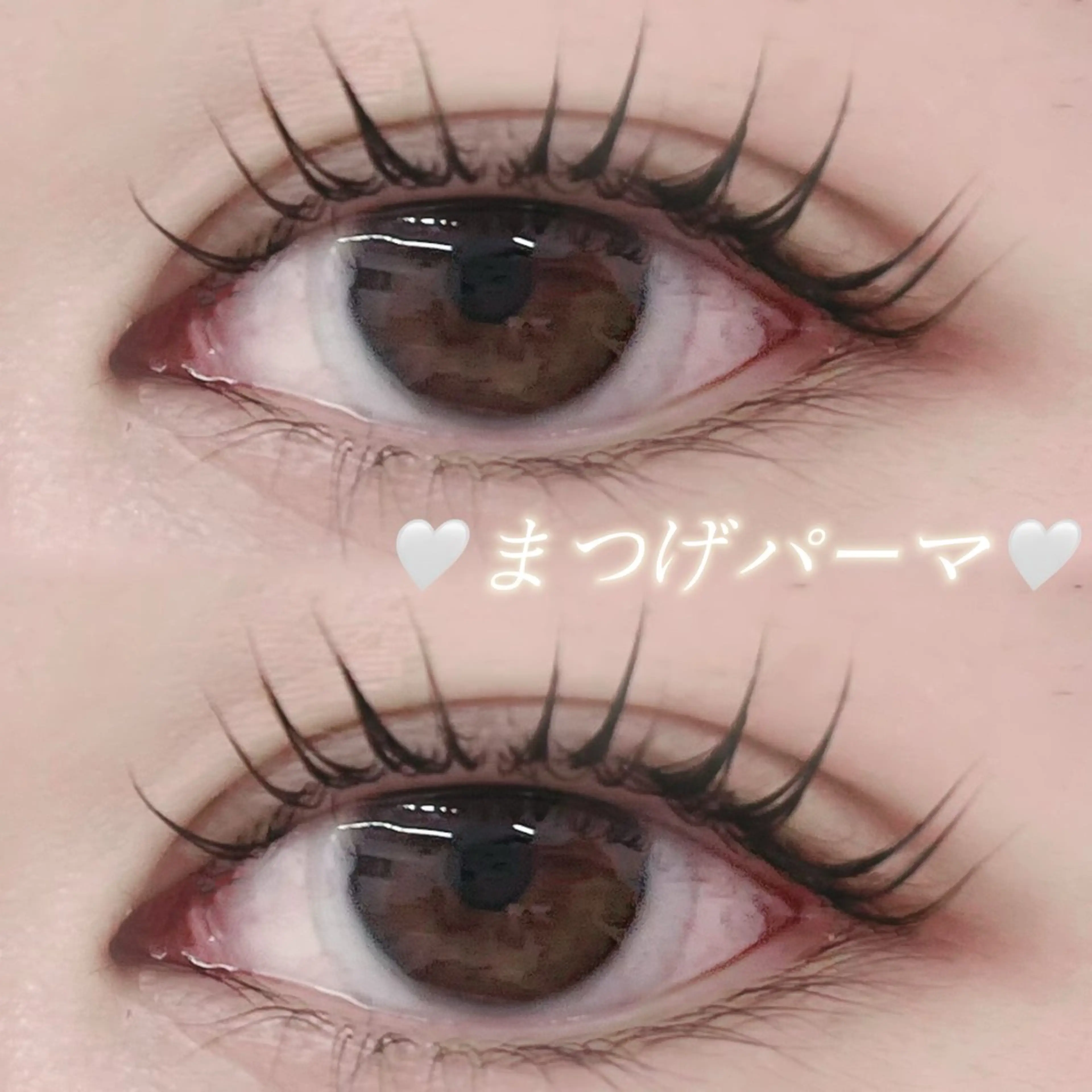 🩷全員🩷まつげパーマ+束感コーティング☆アイシャンプー付の写真