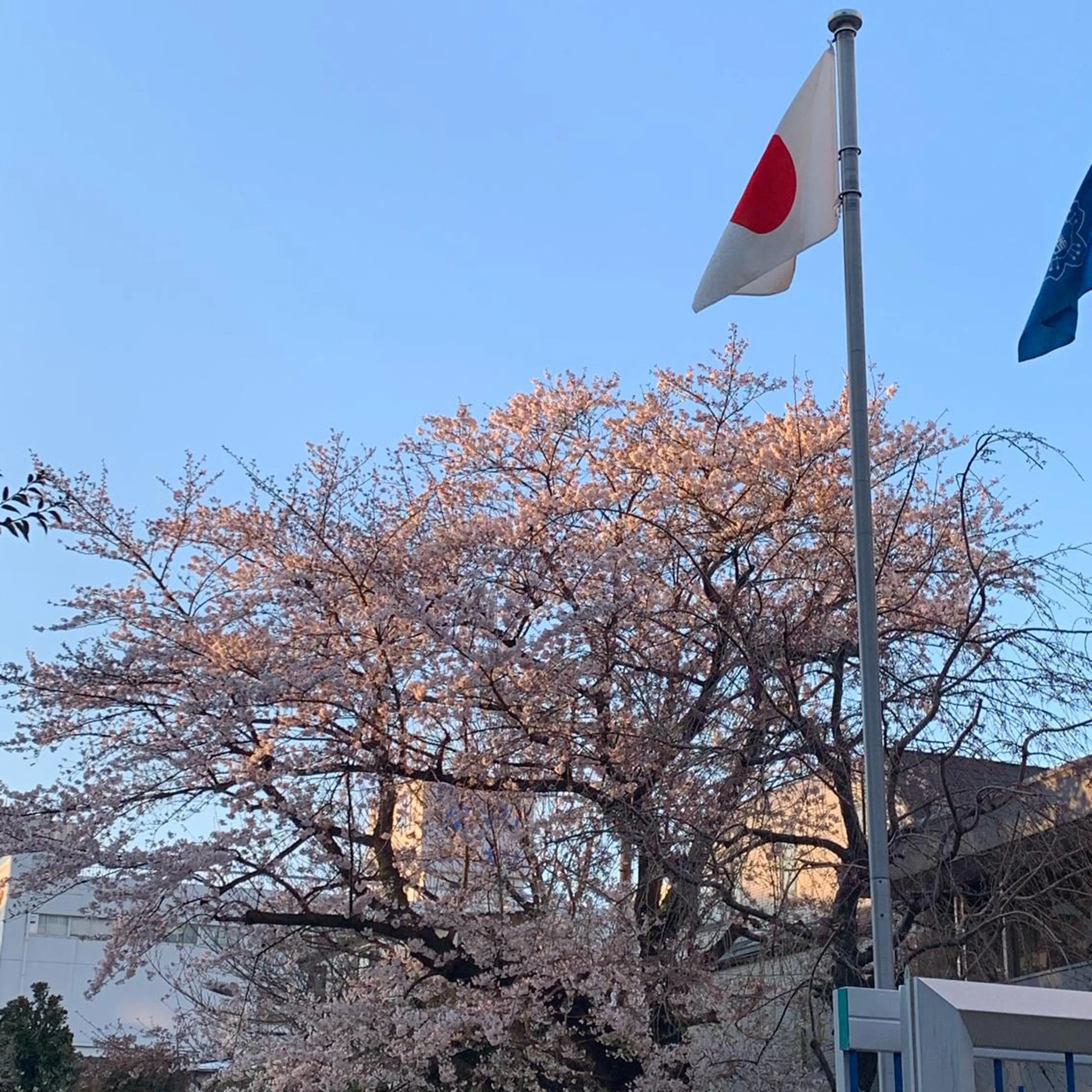 くつろぎ 小悪魔のエステ・リラクイメージ