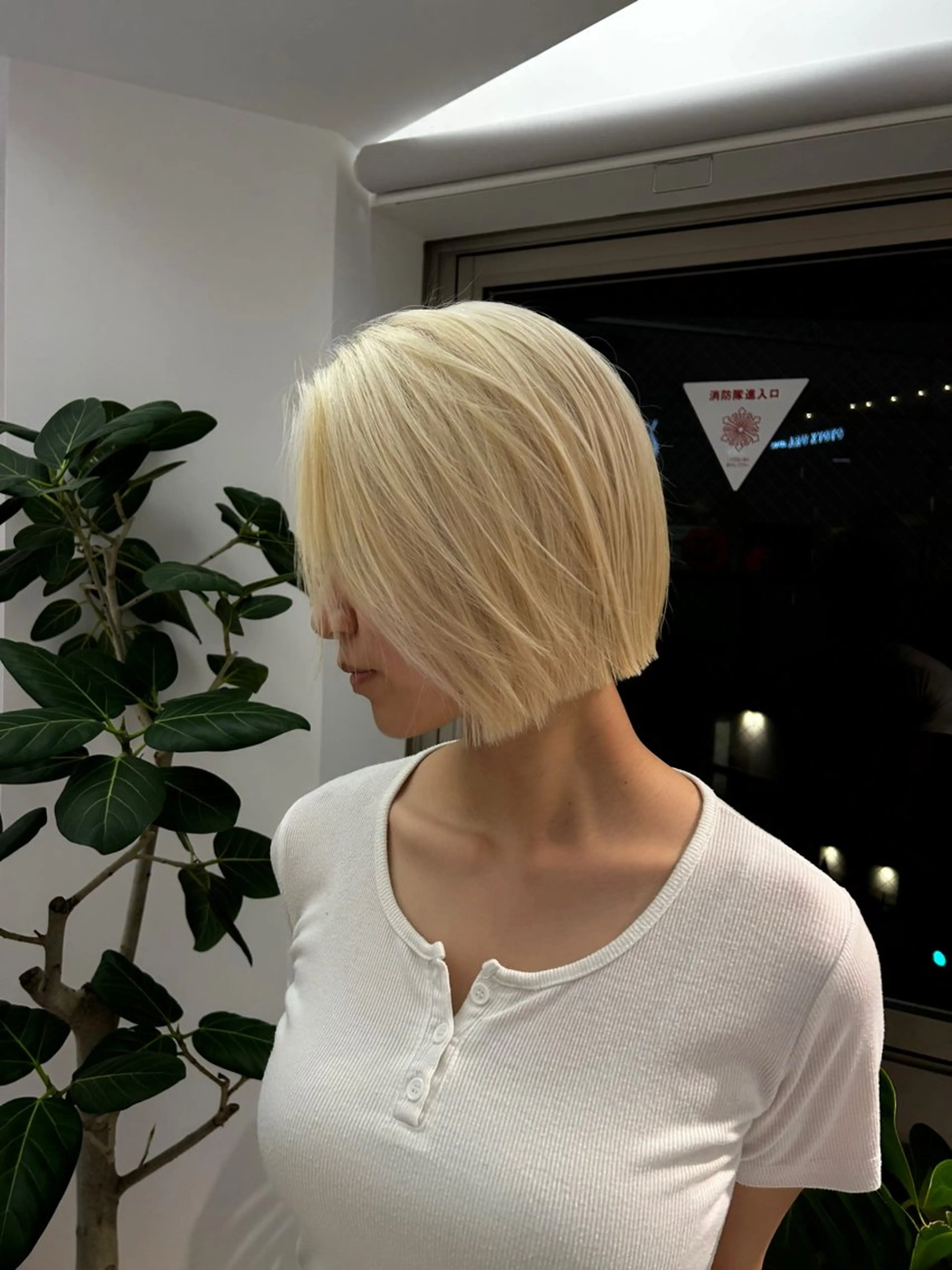 ハイトーン✨ブリーチ2回+オンカラーのトリプルカラー(平日営業後の施術になります)の写真