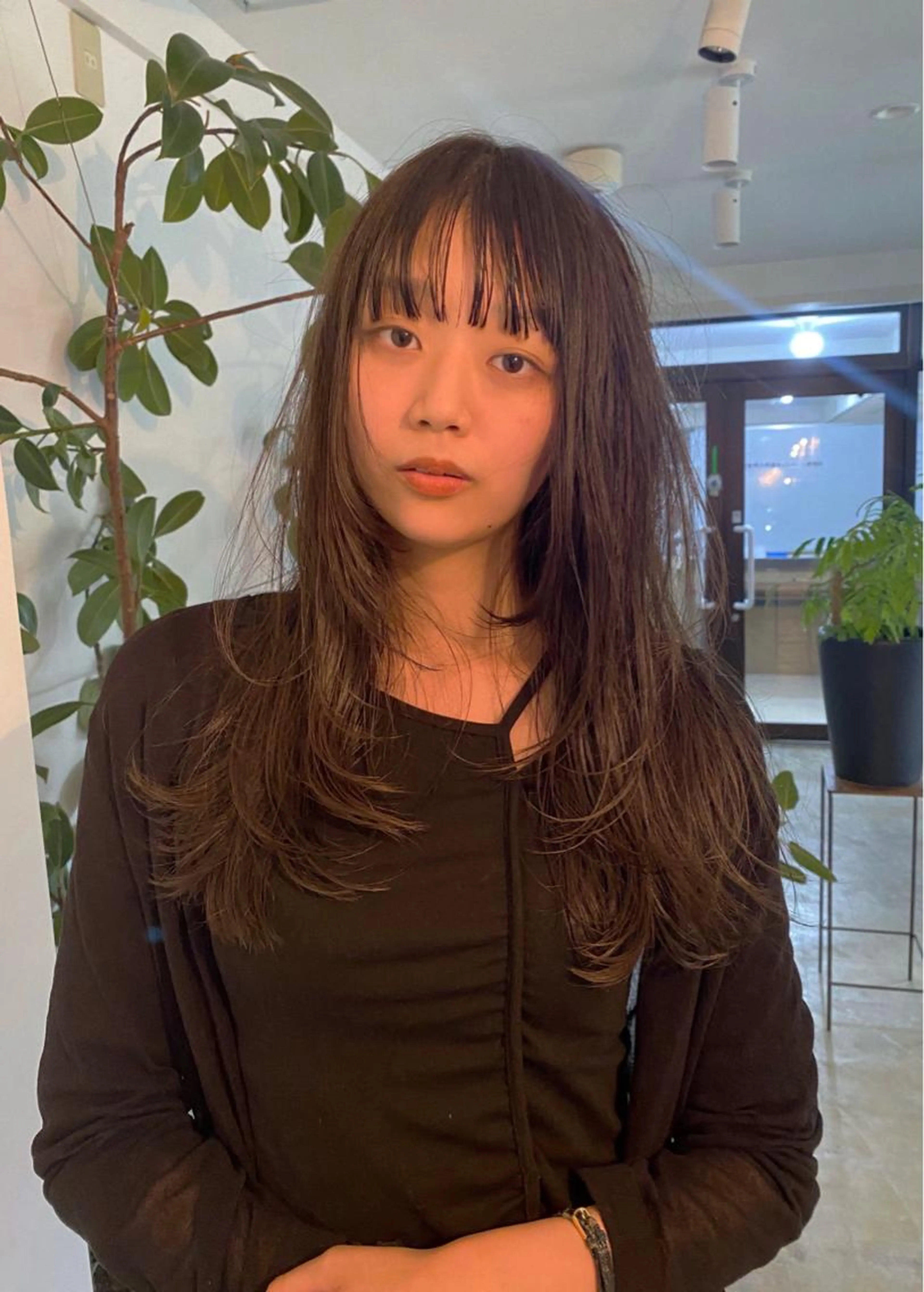 カット、Systemクイックトリートメントの写真