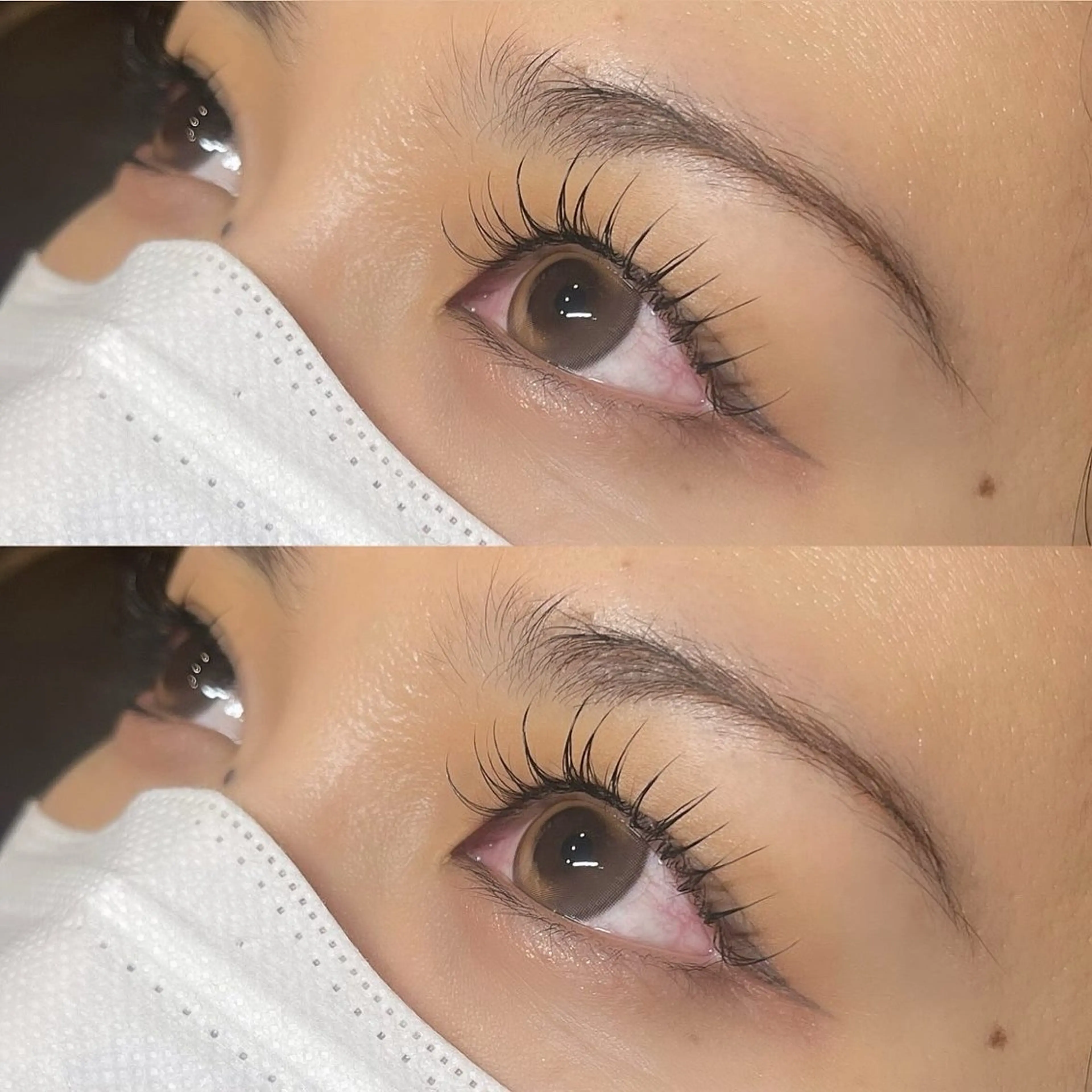 LED💡フラットラッシュ120本🌟の写真