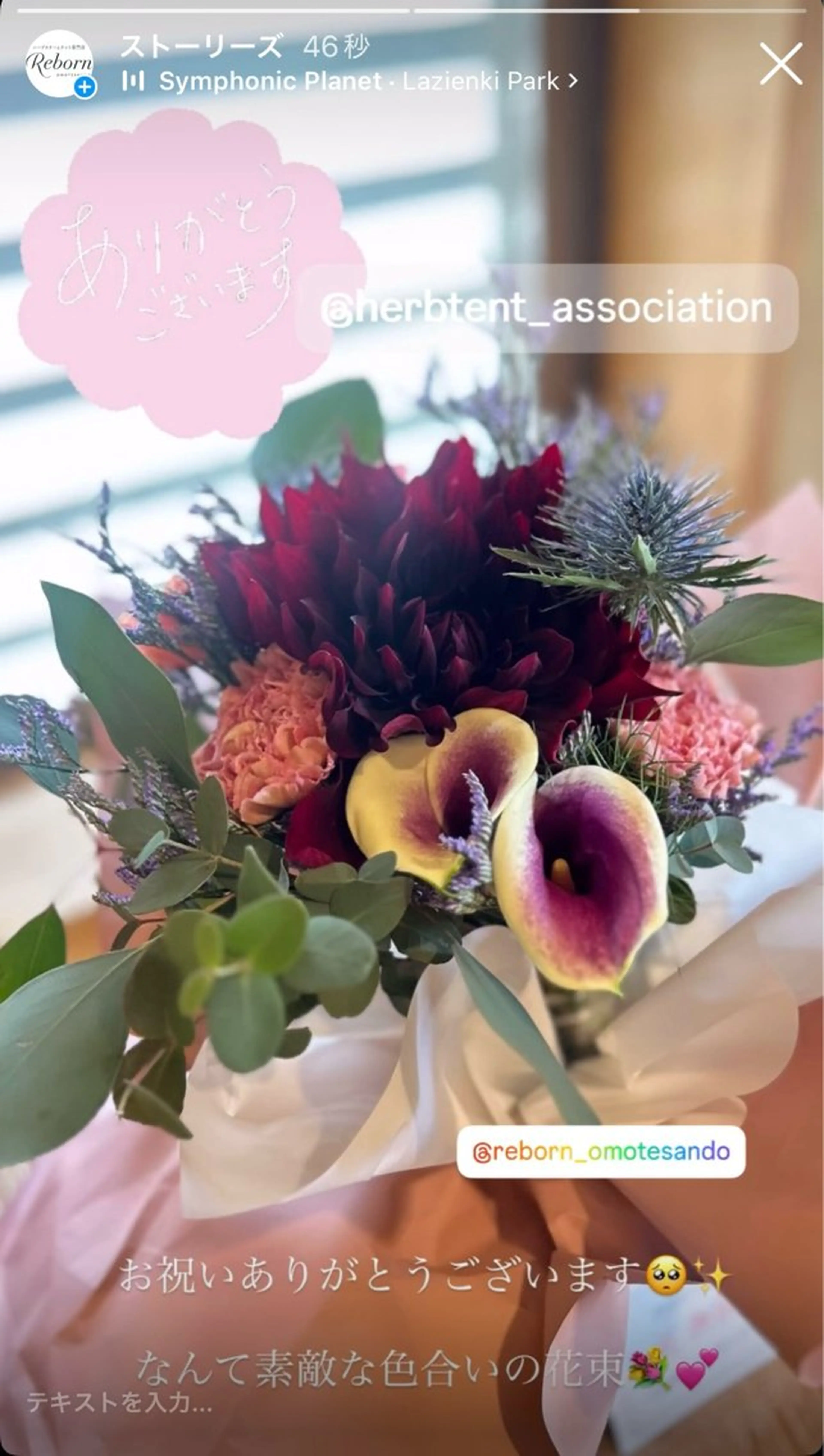 ハーブスチームテント専門店Reborn所属・ハーブスチームテント Reborn表参道のエステ・リラクイメージ