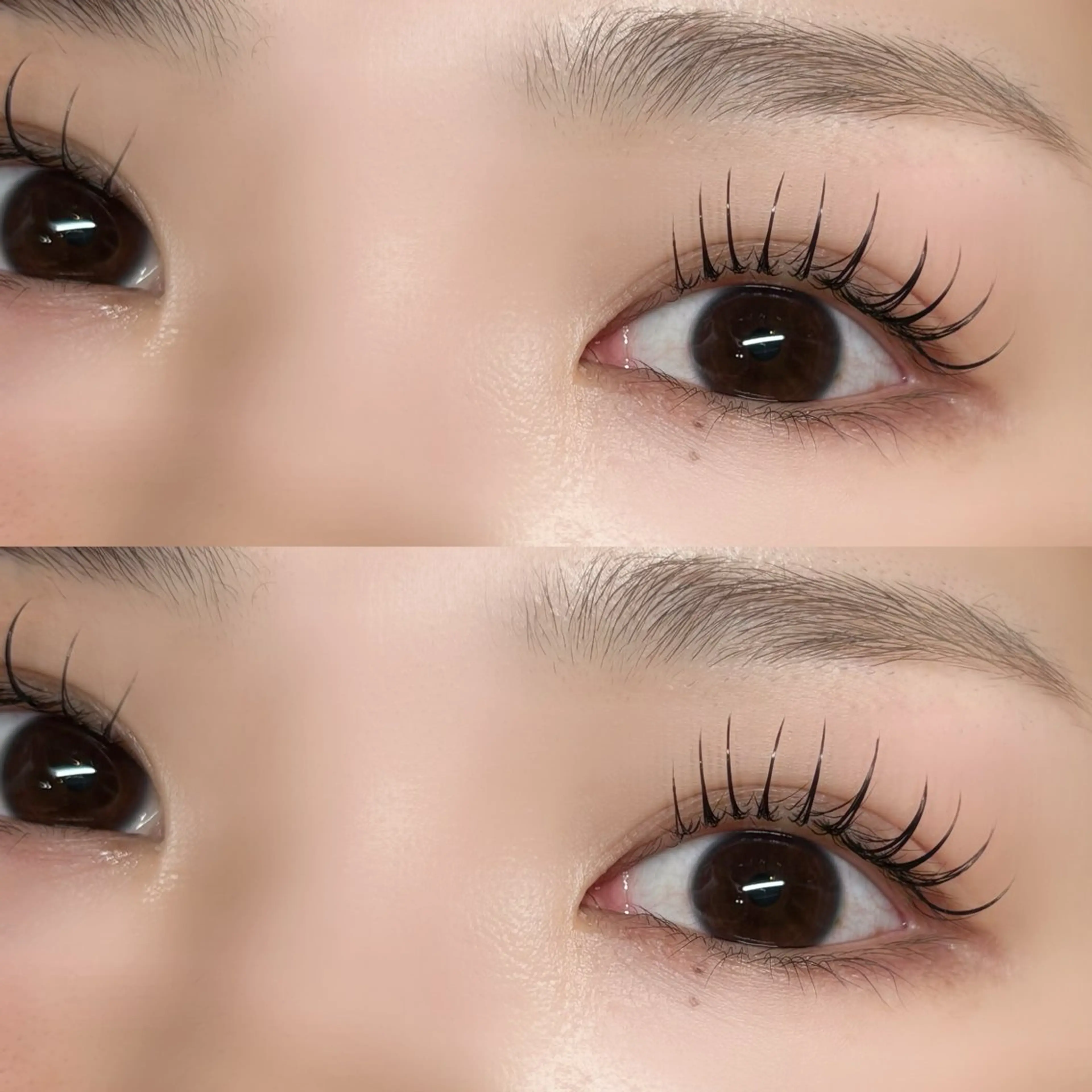 LEDフラットラッシュ140本🎀の写真