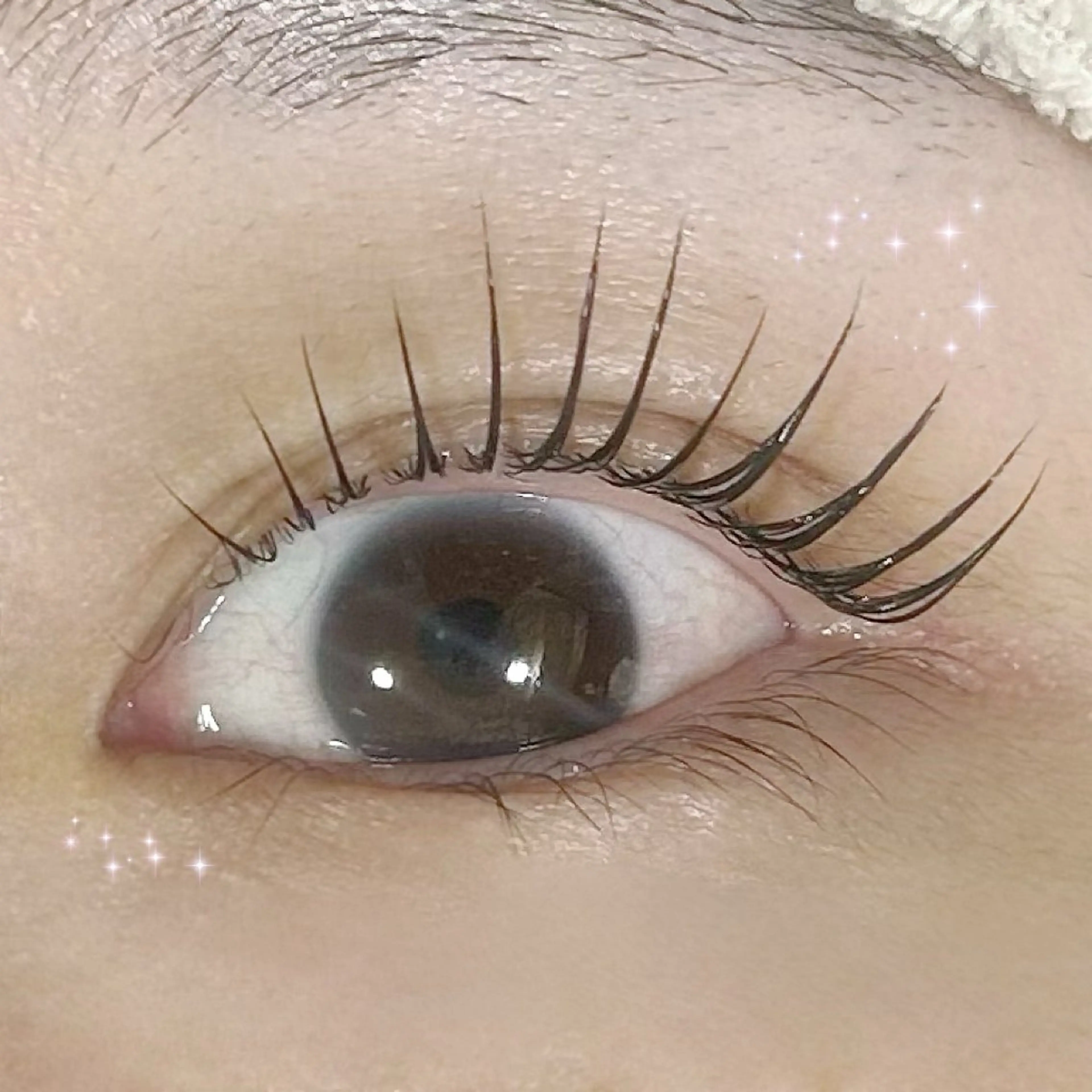 マツエク・マツパ パリジェンヌラッシュリフト マツパ マリーテレジア🐰 okamotoのマツエク・マツパデザイン