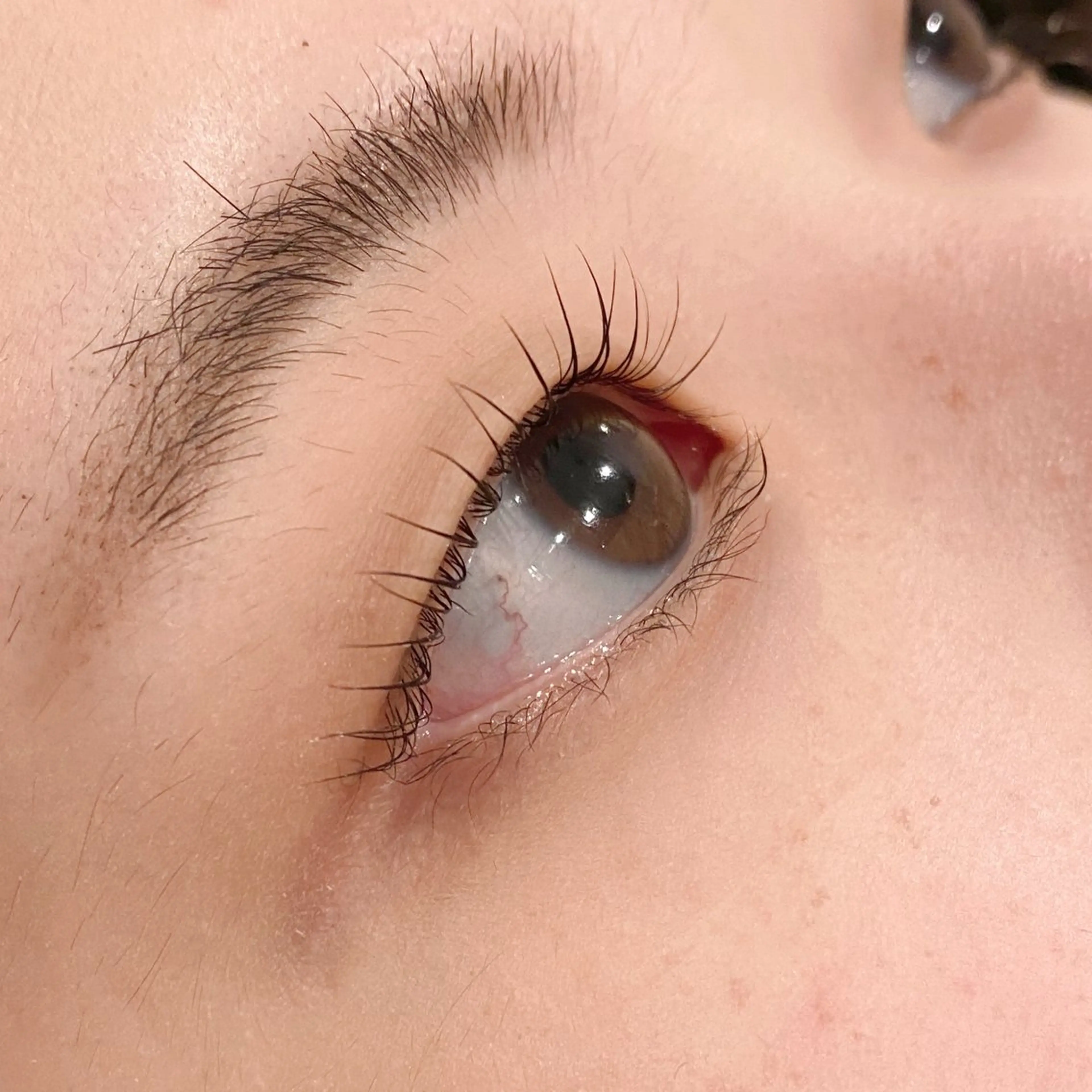 マツエク・マツパ 束感まつ毛 韓国風マツエク 一重×まつ毛パーマ 大西 夏紀のマツエク・マツパデザイン