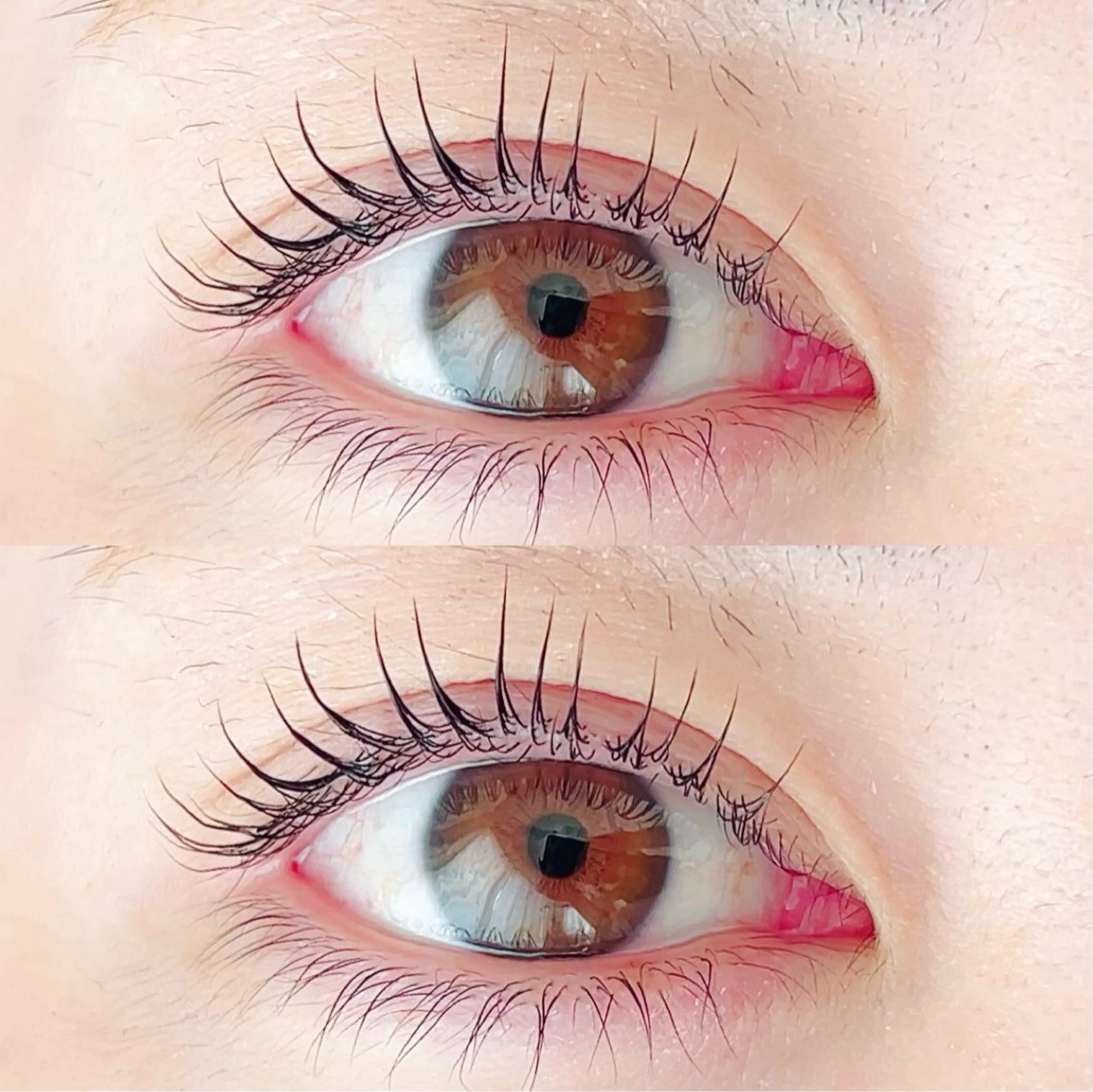 オフ込み❤️‍🔥ラッシュリフト➕コーティング無料 🌺✨¥6300→5200の写真