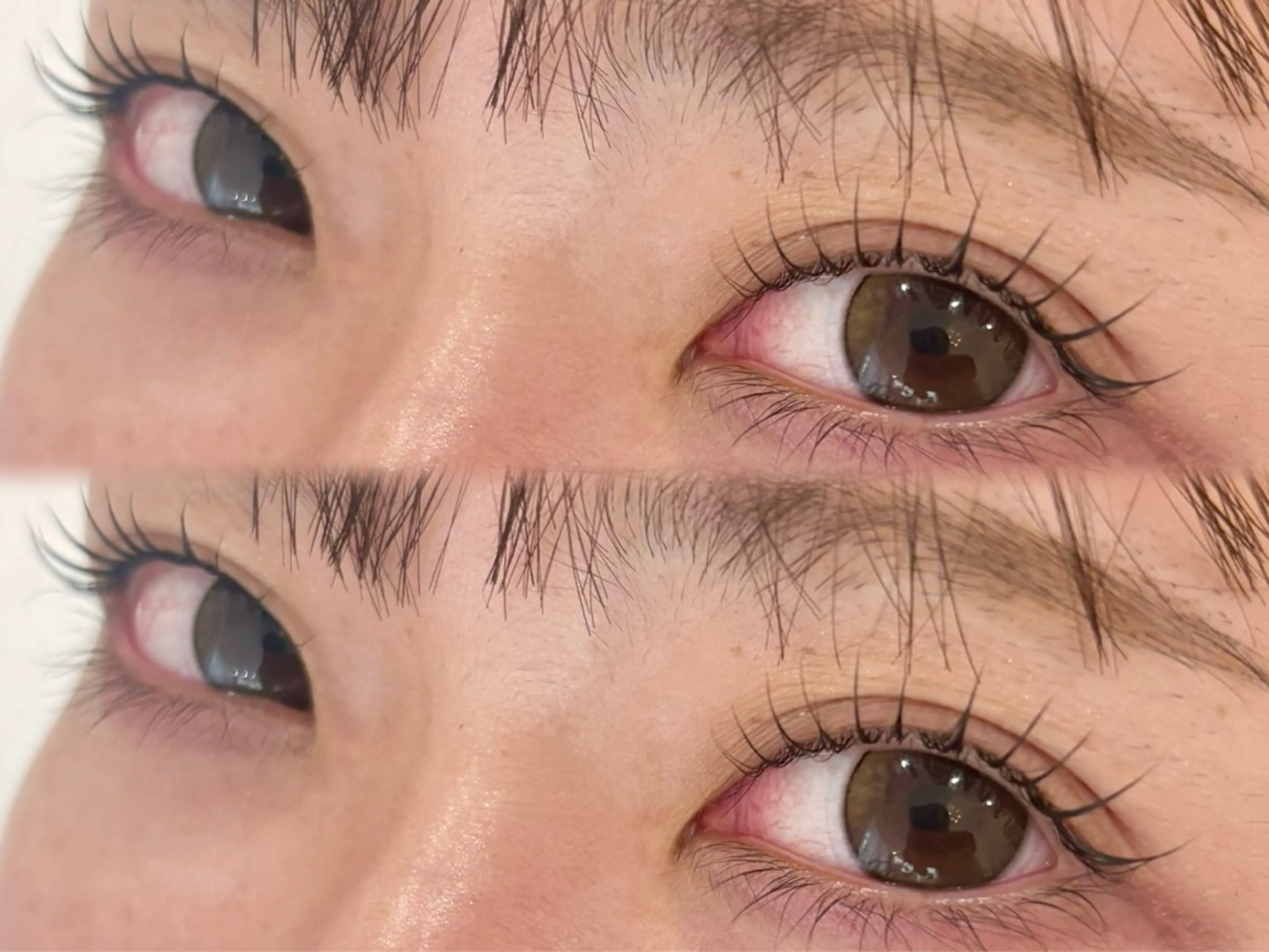 マツエク・マツパ 🌼AI 🌼の眉毛・アイブロウイメージ