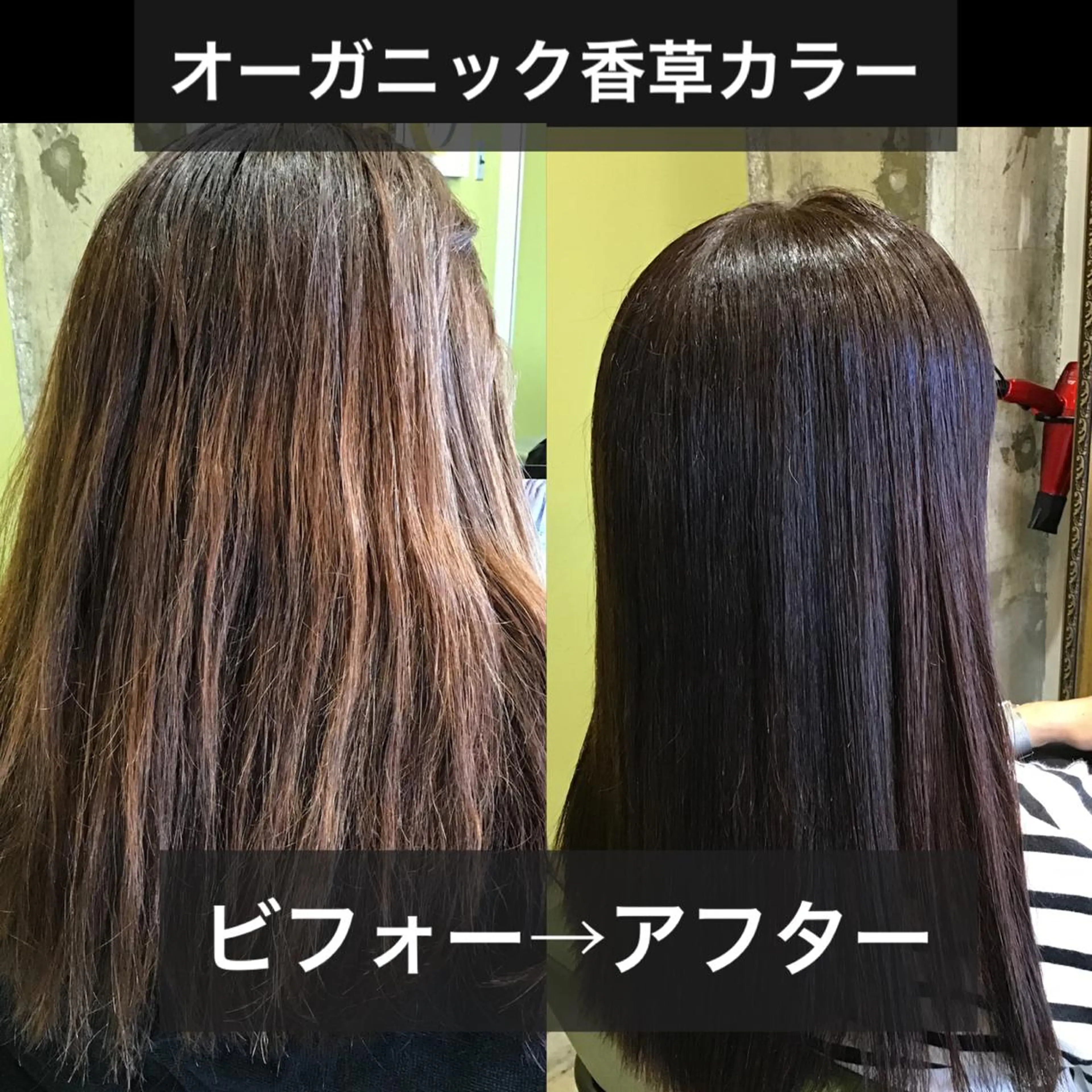 カラー エイジングケア特化 サーカス/育毛/スパのヘアスタイル