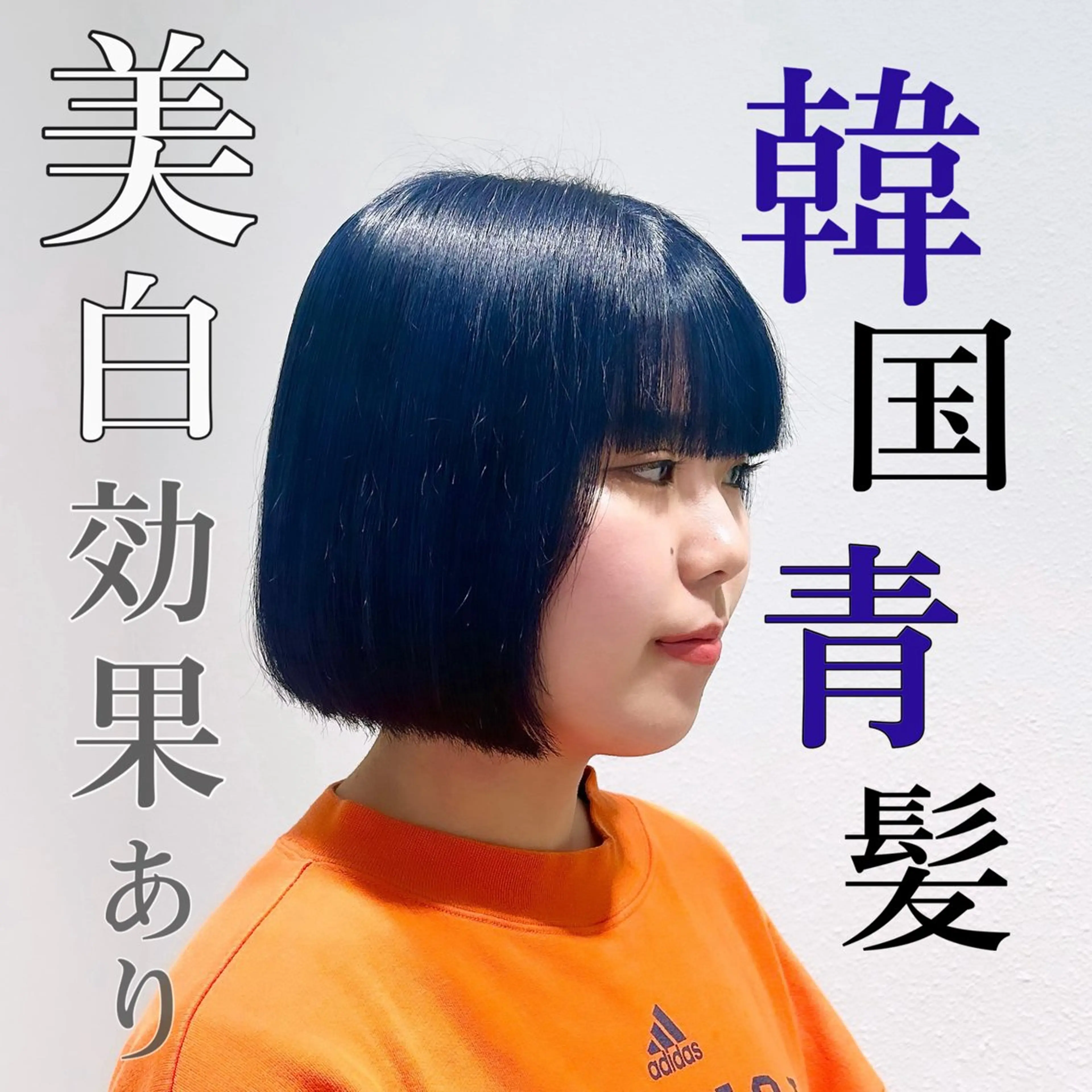 カラー 黒髪 ブルーカラー ブルーブラック ハイトーンカラー ヘアセット/暖色 /レイヤー 山田寛菜のヘアスタイル
