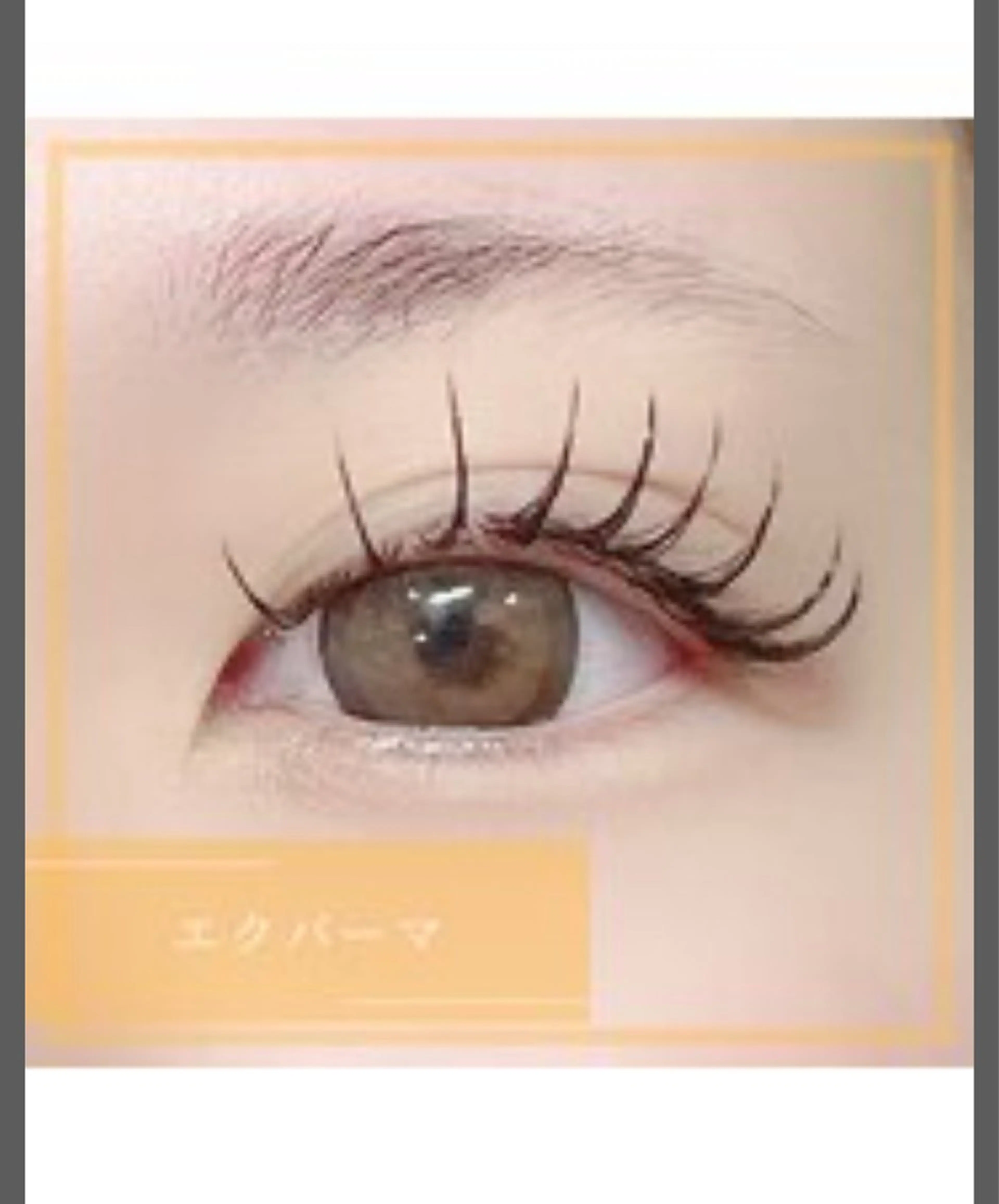 マツエク・マツパ ◡̈︎eyelist ⑅︎Reinaのマツエク・マツパデザイン