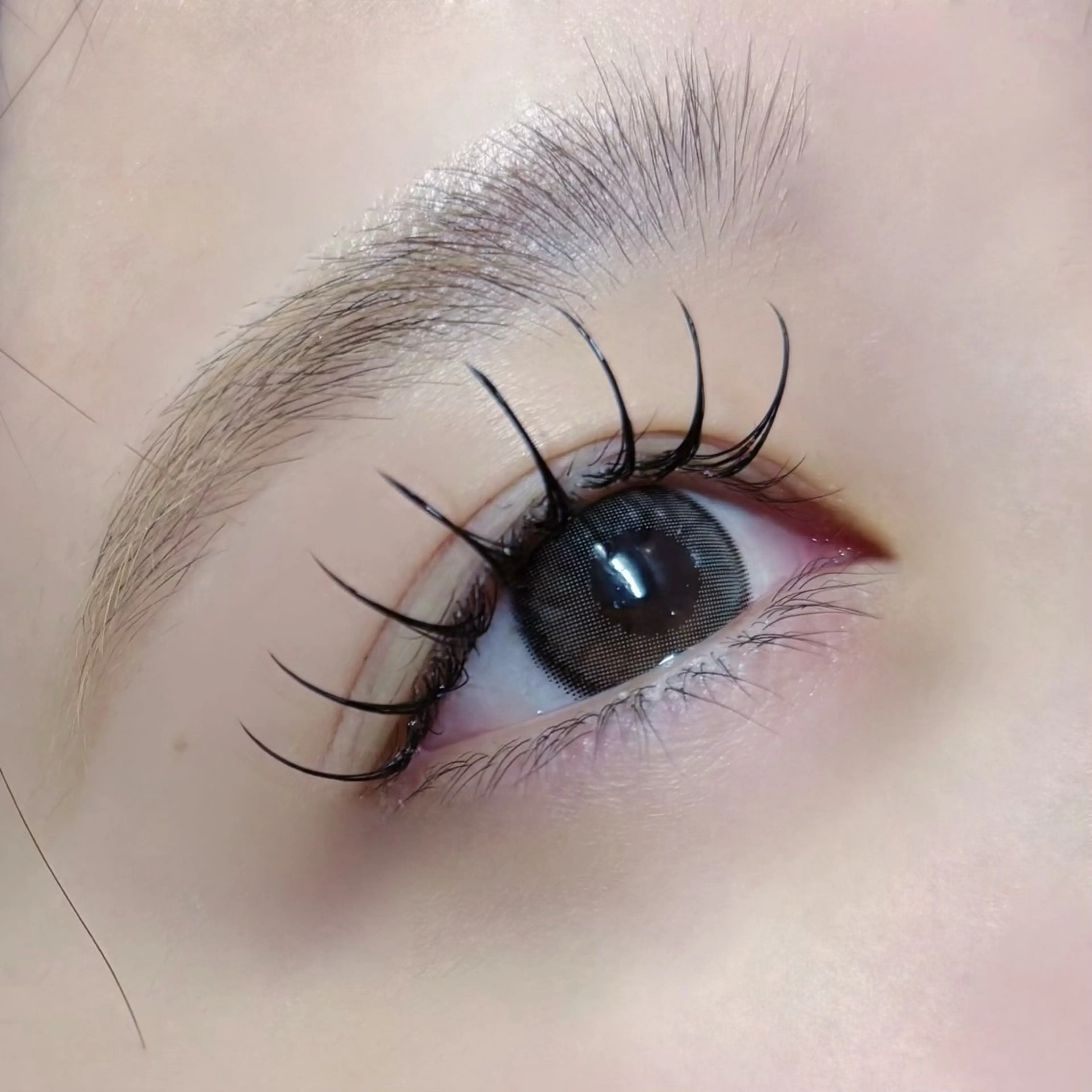 マツエク・マツパ マツエク 京都駅 / ひなこ 𖤐ﾐのマツエク・マツパデザイン