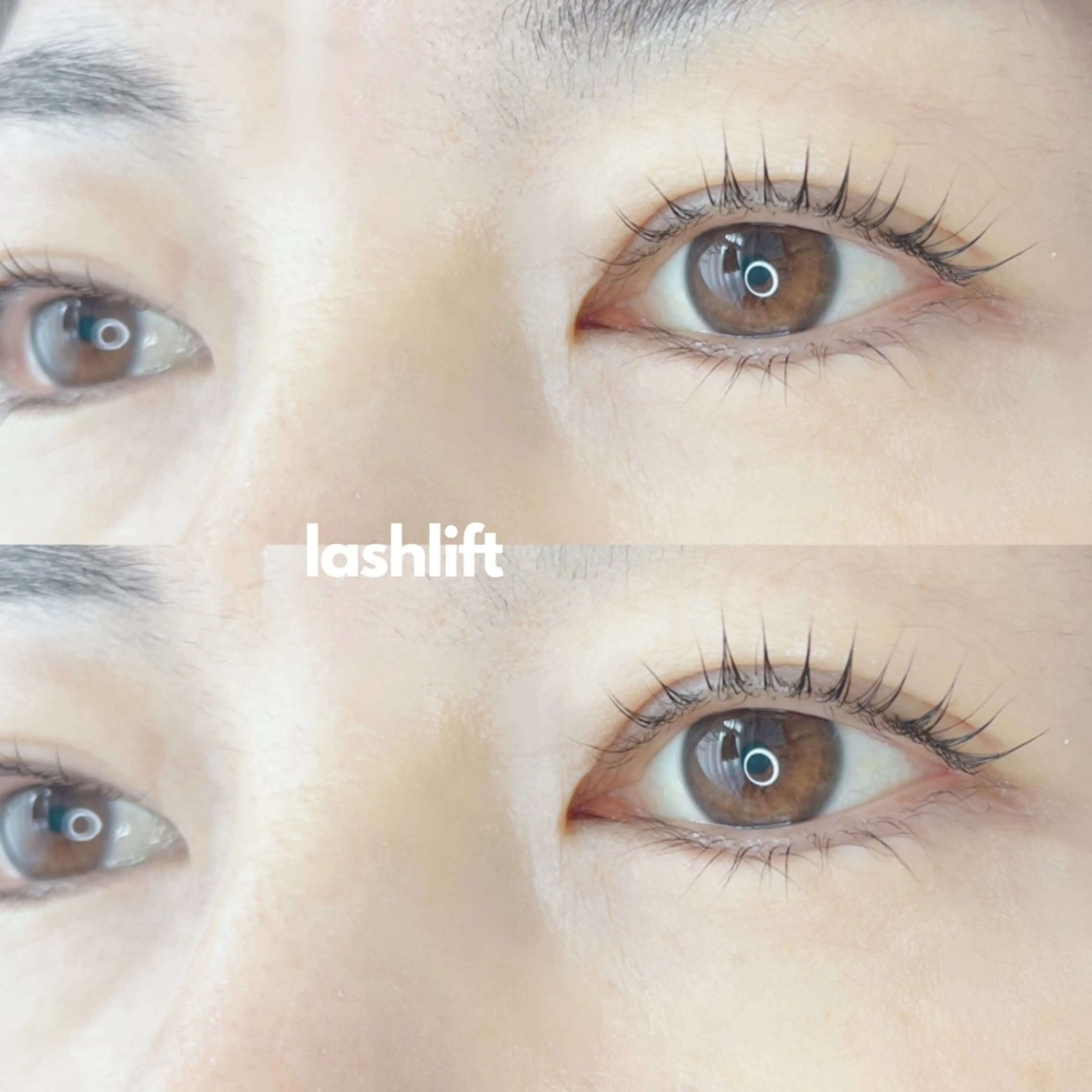 マツエク・マツパ 《eyelash ｉｉｔｅ》森のマツエク・マツパデザイン