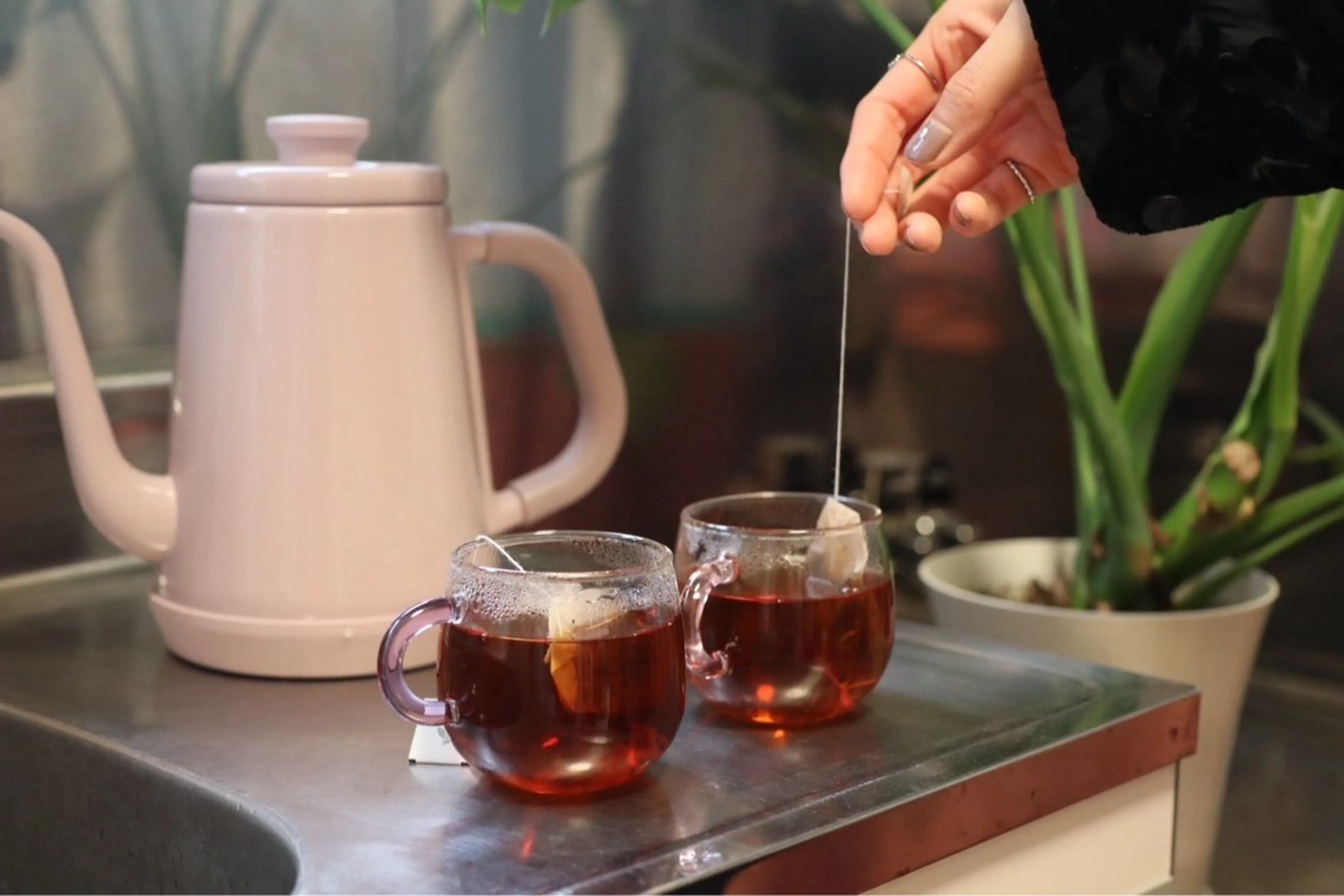 【ペア💫】16タイプカラー診断🎨＋顔タイプ診断🙎‍♀️210分の写真